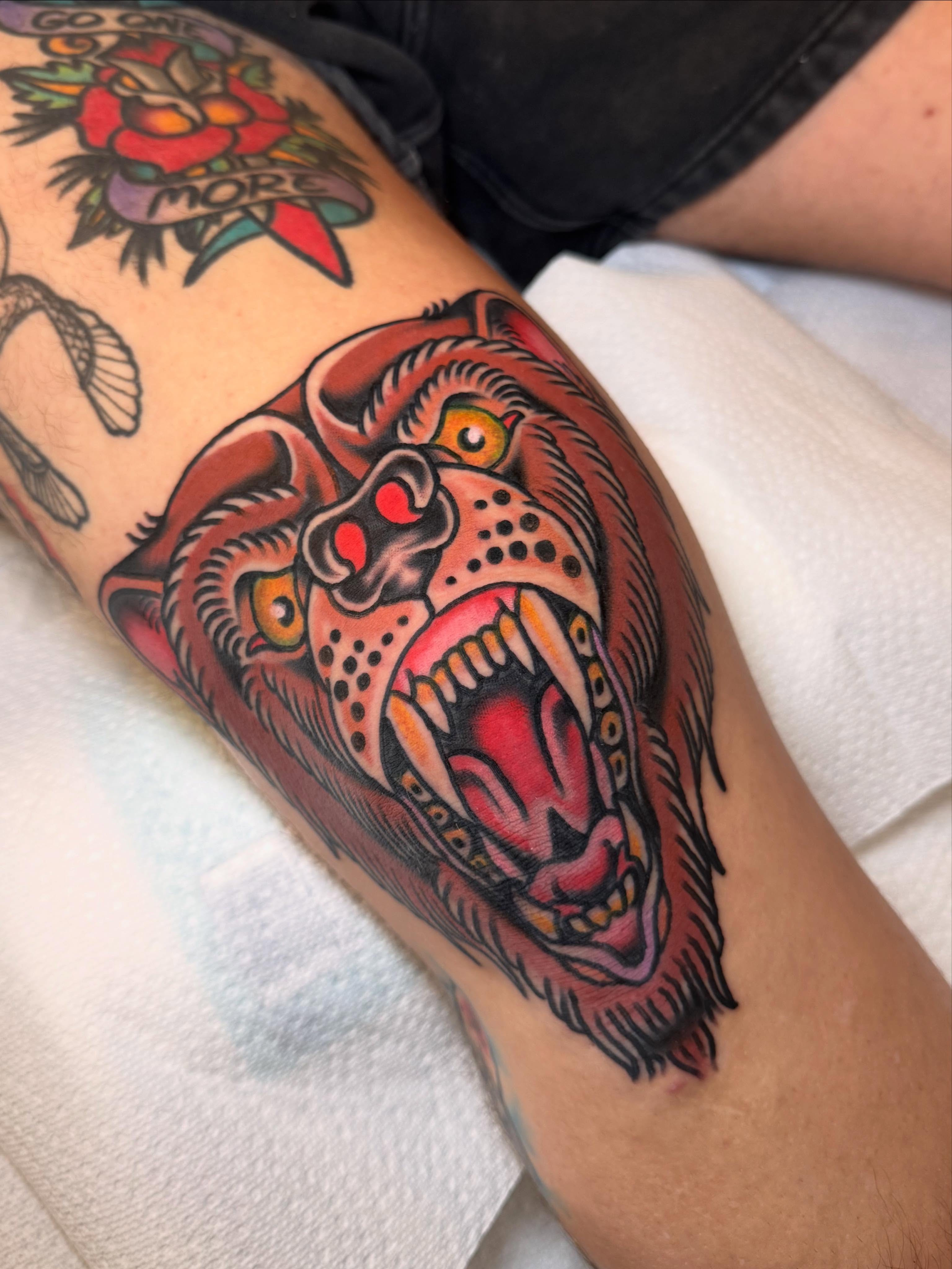 Roaring bear American traditional tattoo on the forearm by Jonathan Clapp, San Antonio, Texas