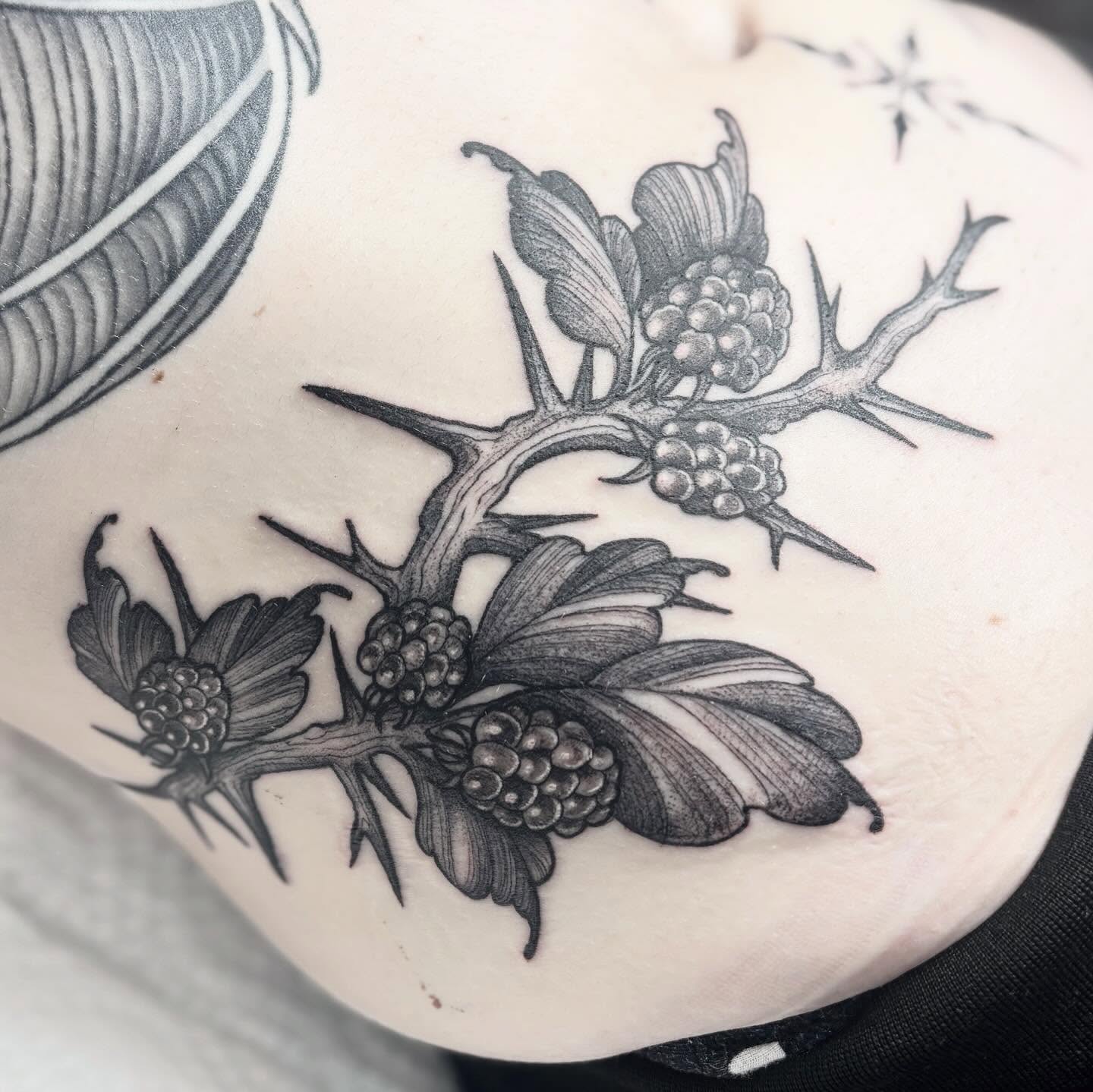 Thorn bush black and grey tattoo on the torso by Cincinnati