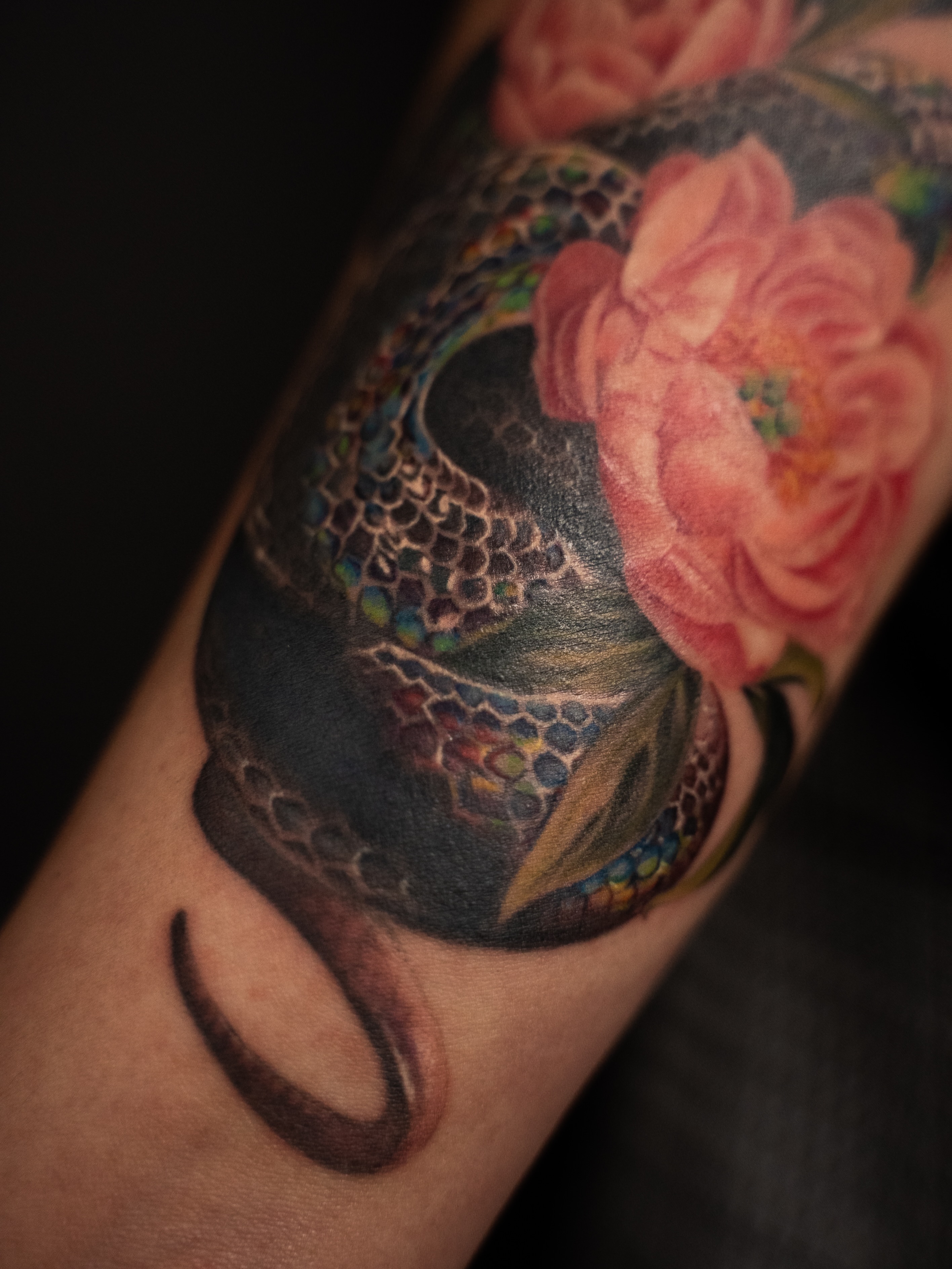 Tattoo by @jieminart — realism, dotwork