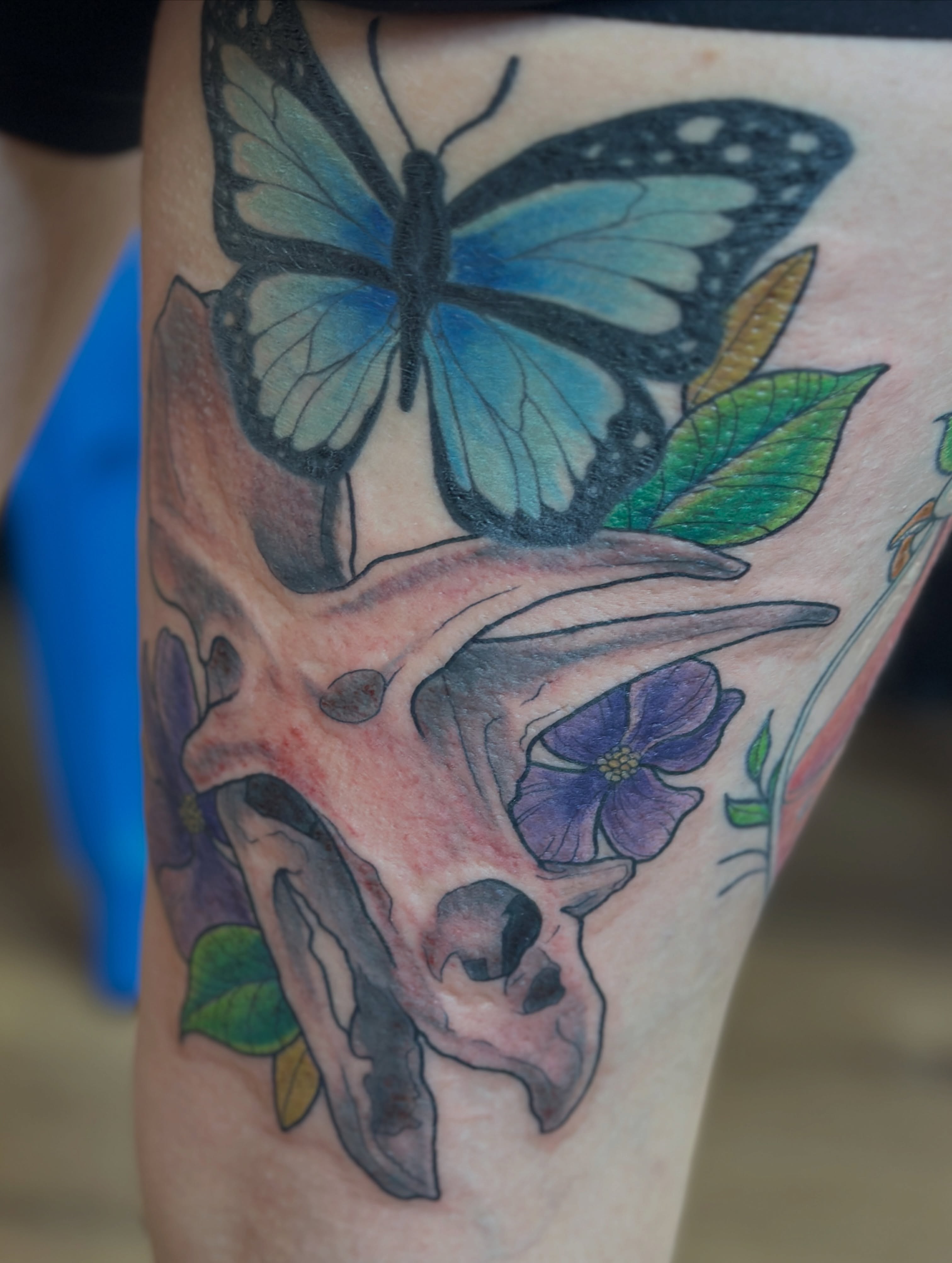 Deer skull with butterfly realism tattoo on the forearm by Gabrielle Brodman 🎀 Raleigh-Durham Tattoo