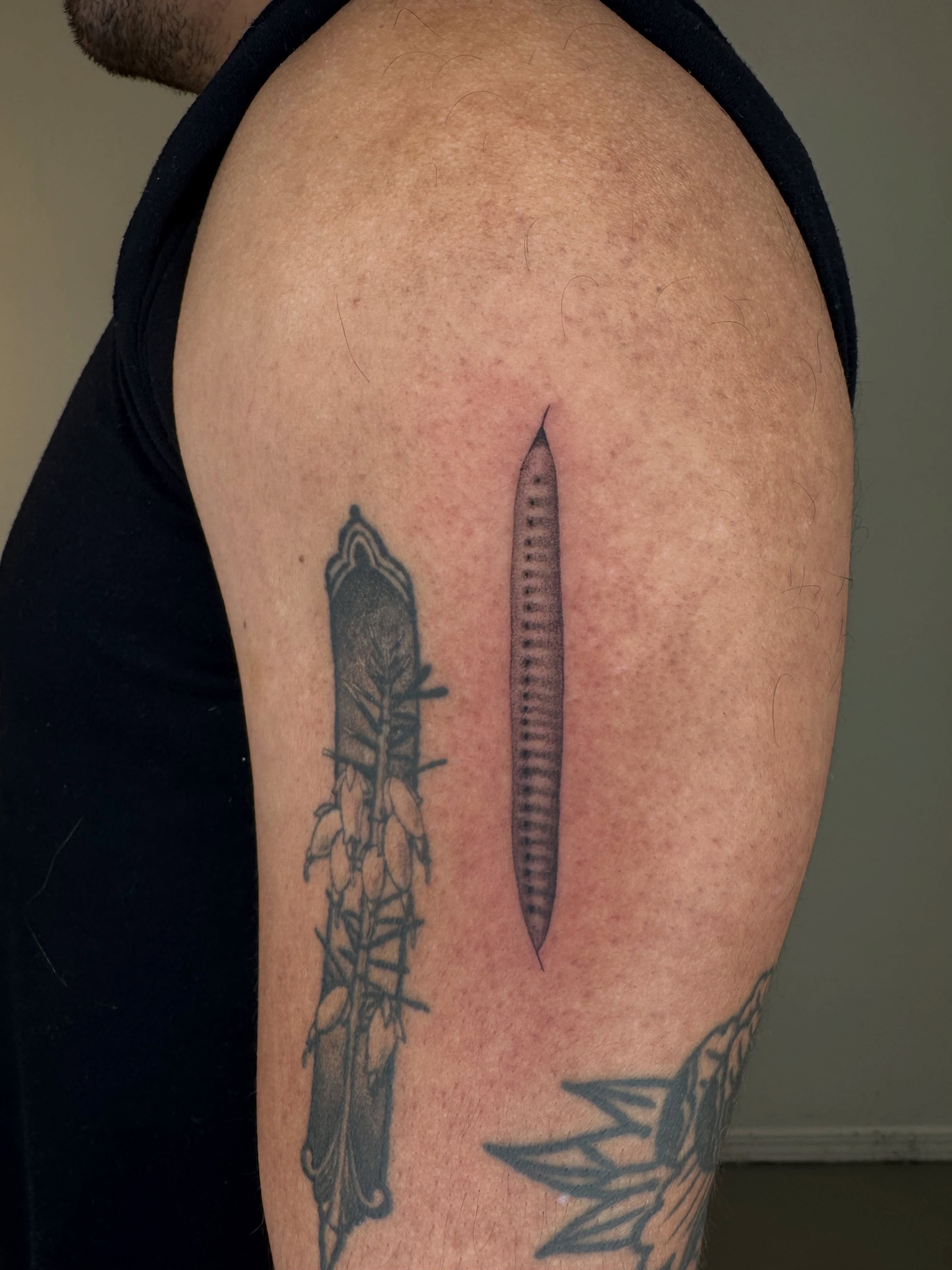 Seed pod black and grey tattoo on the shoulder by Monica Reynolds