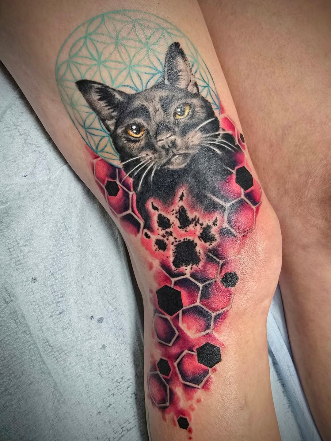 Cat realism tattoo on the forearm by bonnie