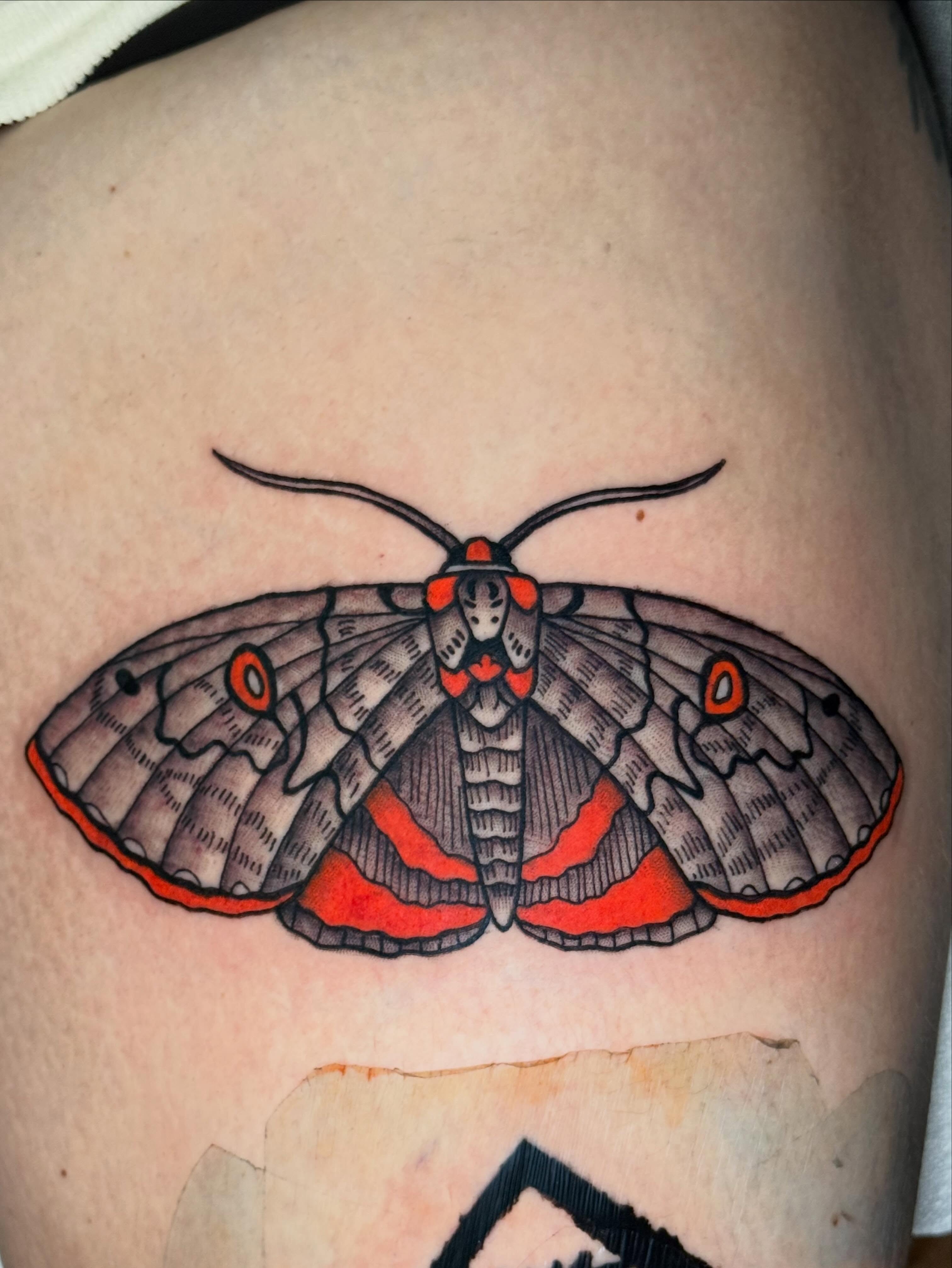 Moth American traditional tattoo on the thigh by CAT