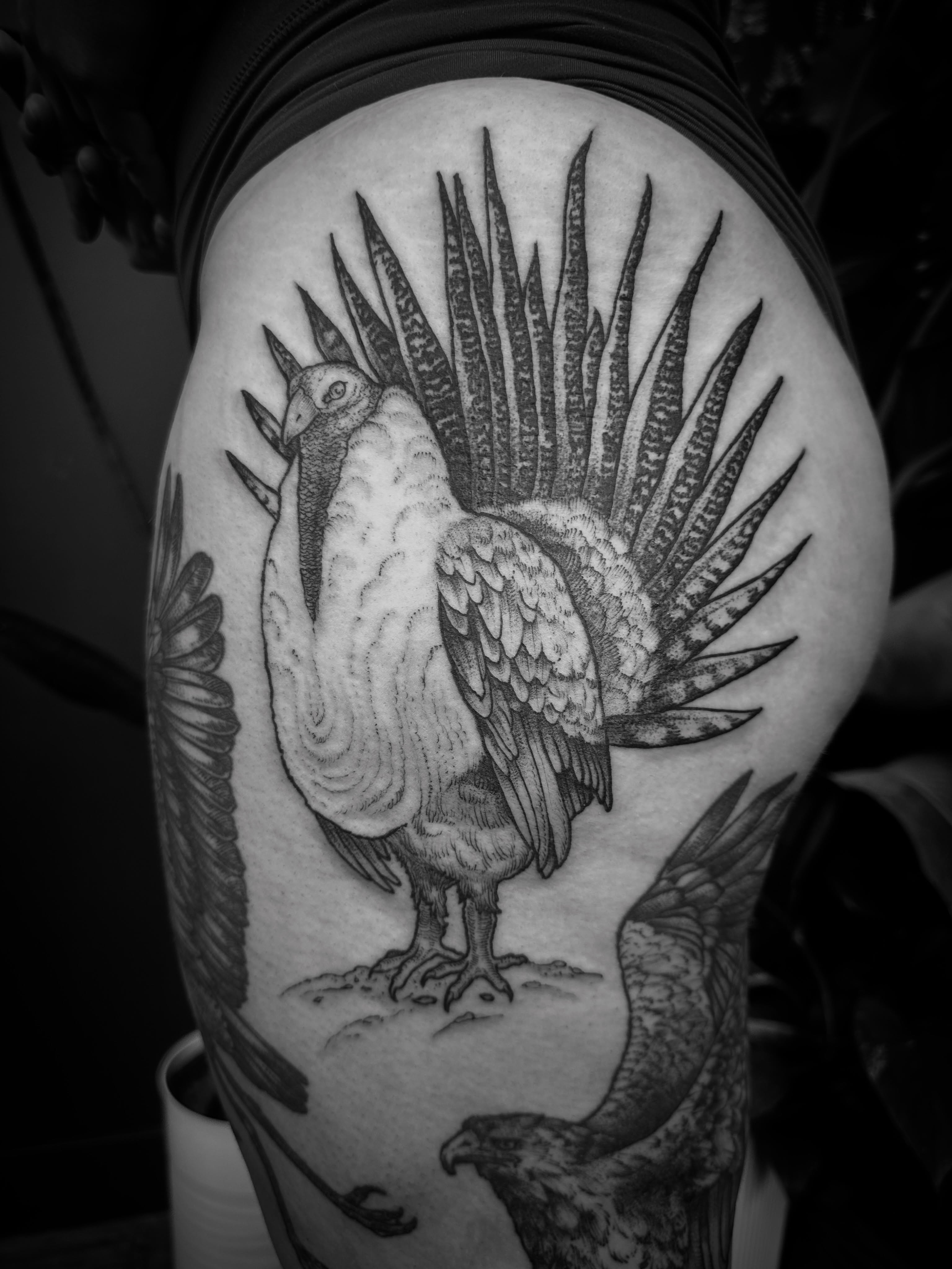 Rooster black and grey tattoo on the shoulder by Desireé Keys, Midvale, Utah