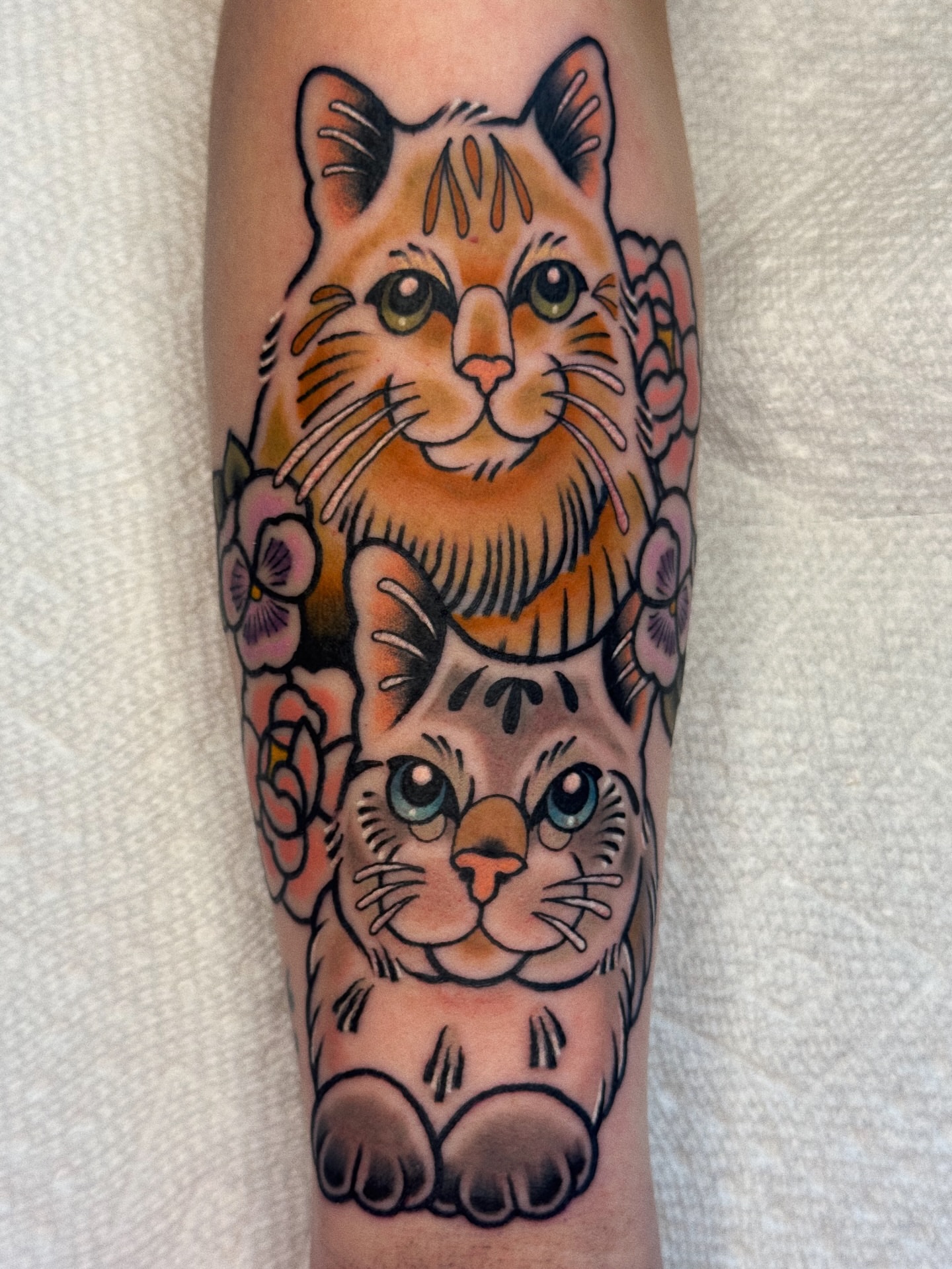 Cats American traditional tattoo on the forearm by 𝕷𝖆𝖚𝖗 𝕷𝖆𝖚𝖗