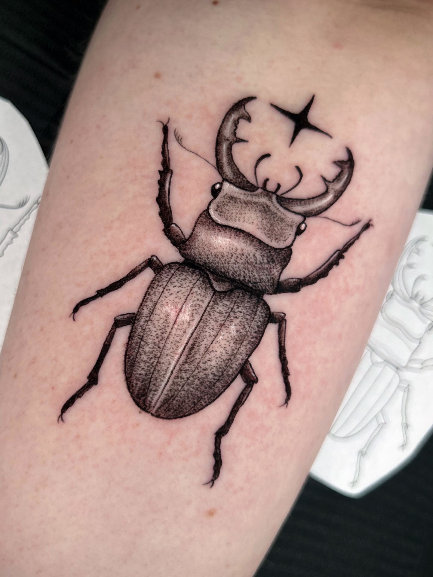 Tattoo by @marisolcreative β dotwork, realism