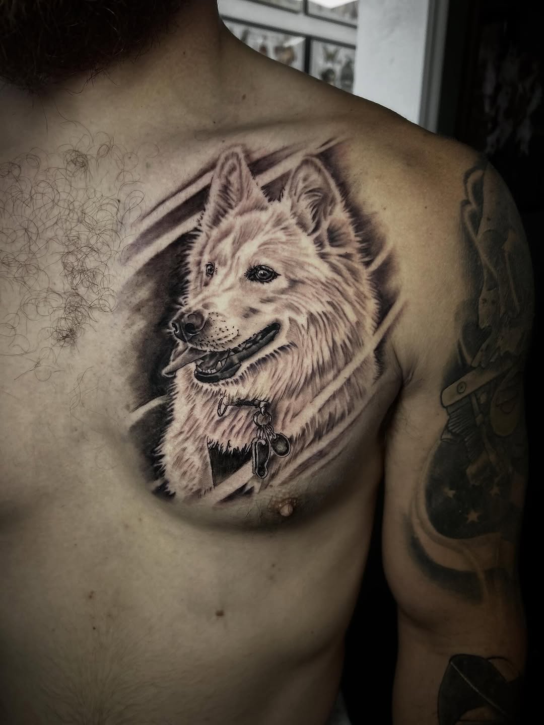 Dog portrait realism tattoo on the chest by Dylan Stevens