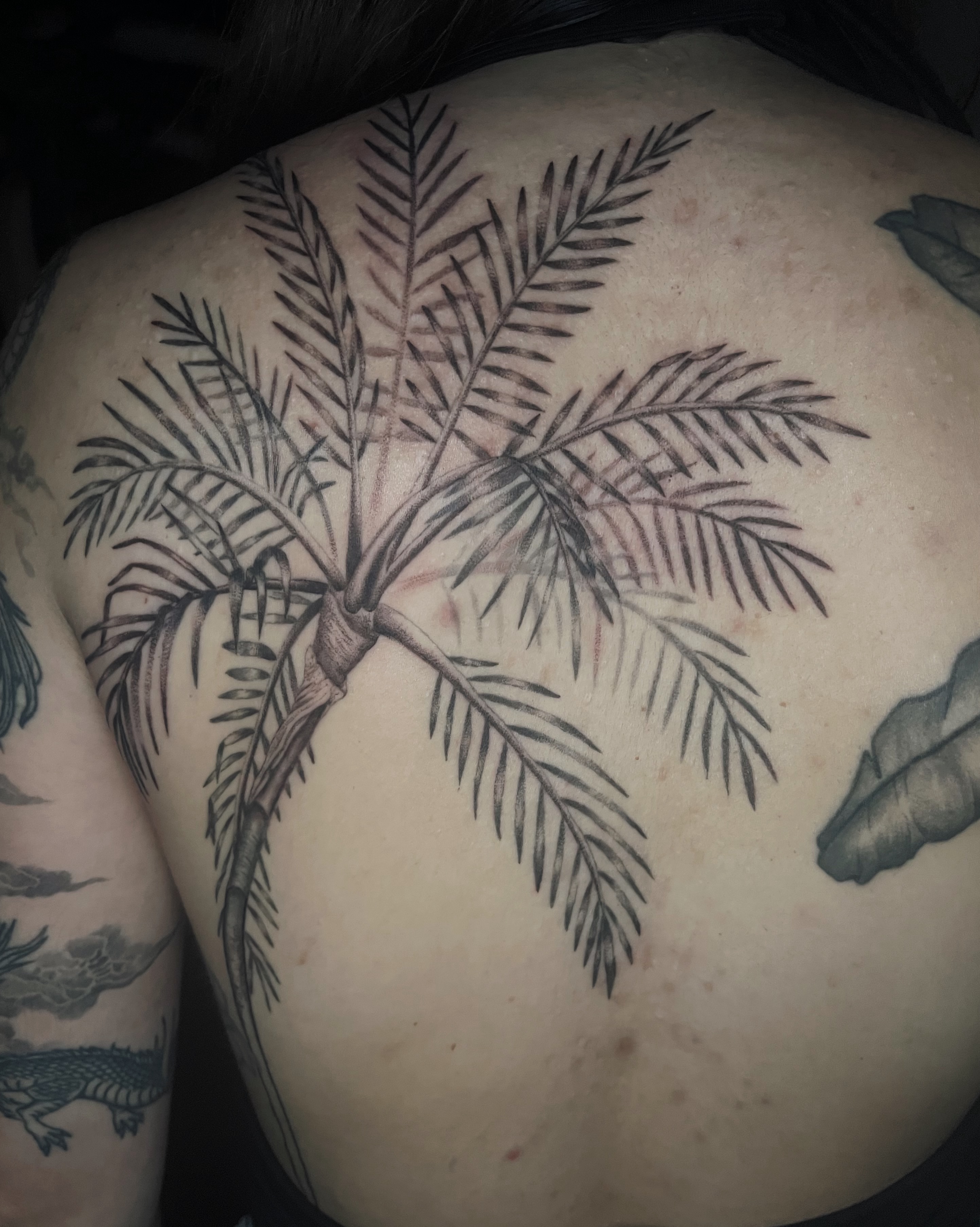Palm tree black and grey tattoo on the back by Abigail, San Francisco, California