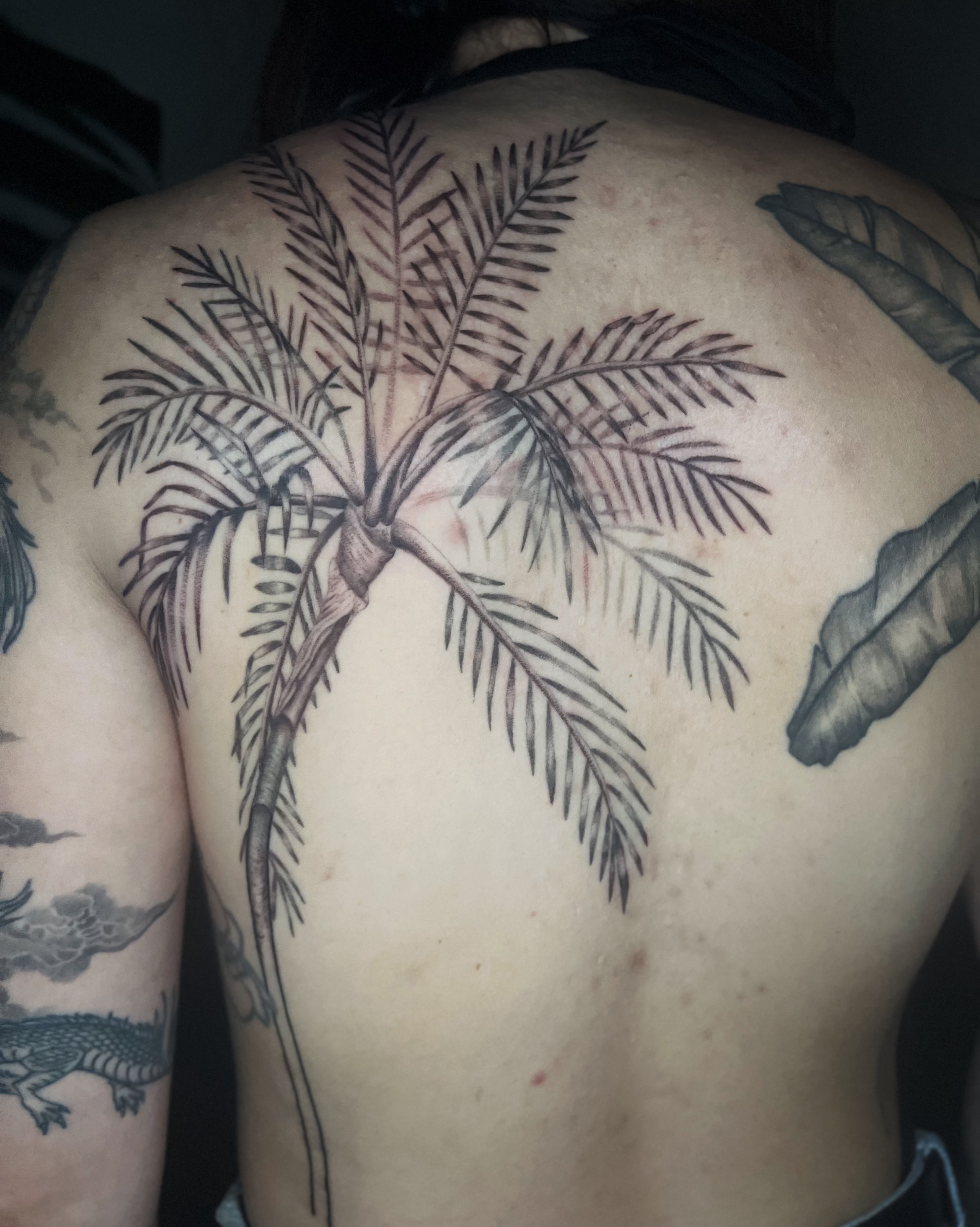Palm tree black and grey tattoo on the back by Abigail, San Francisco, California