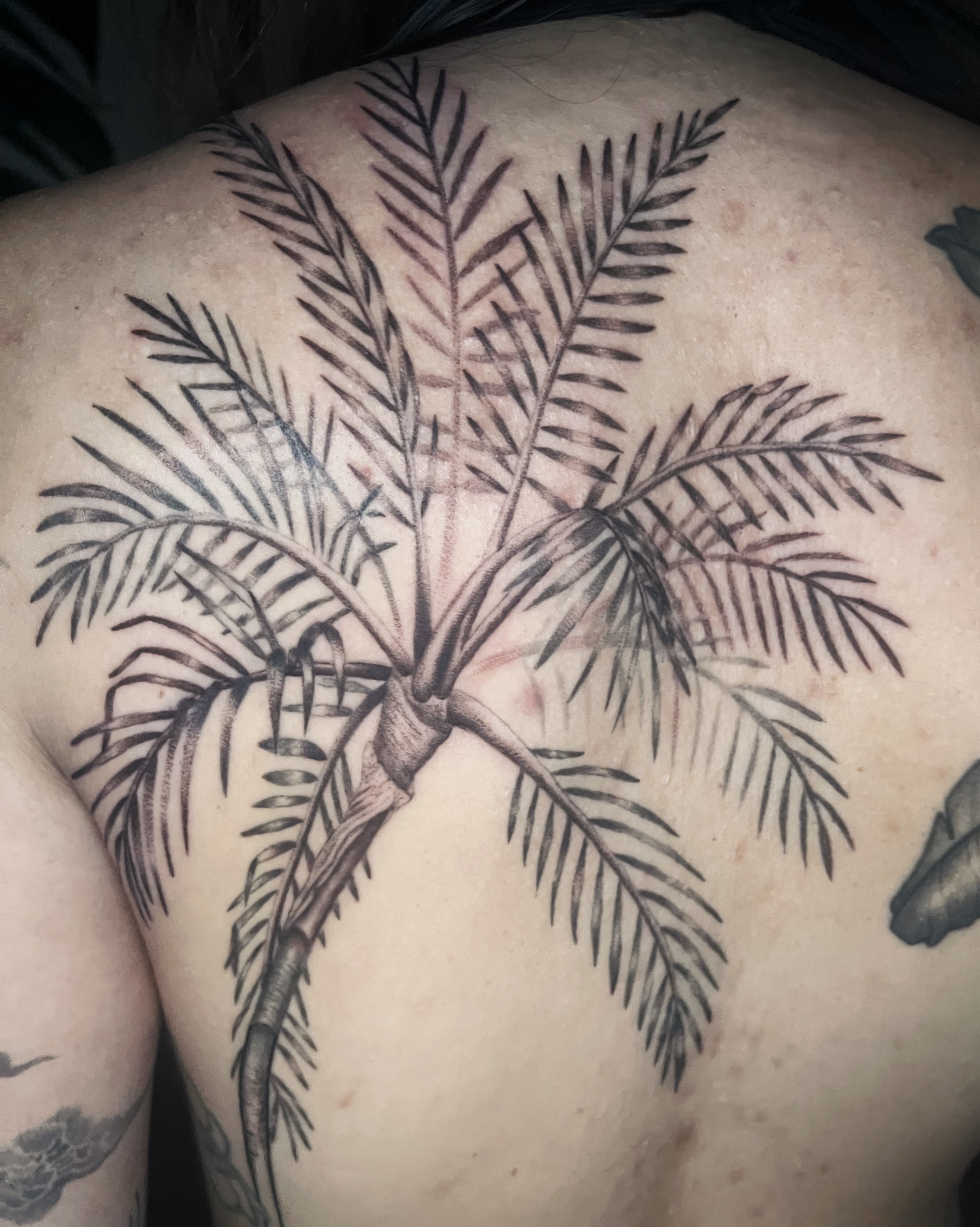 Palm tree black and grey tattoo on the back by Abigail, San Francisco, California