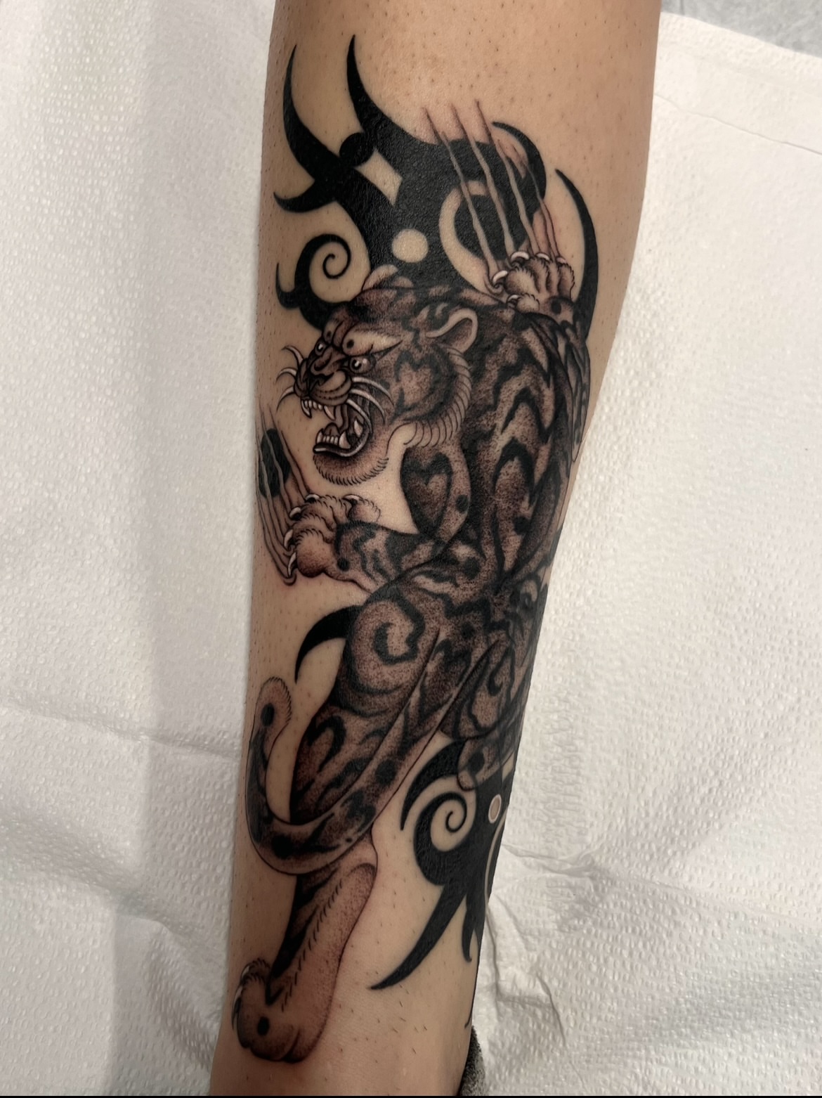 Tiger black and grey tattoo on the forearm by Cassidy Maples