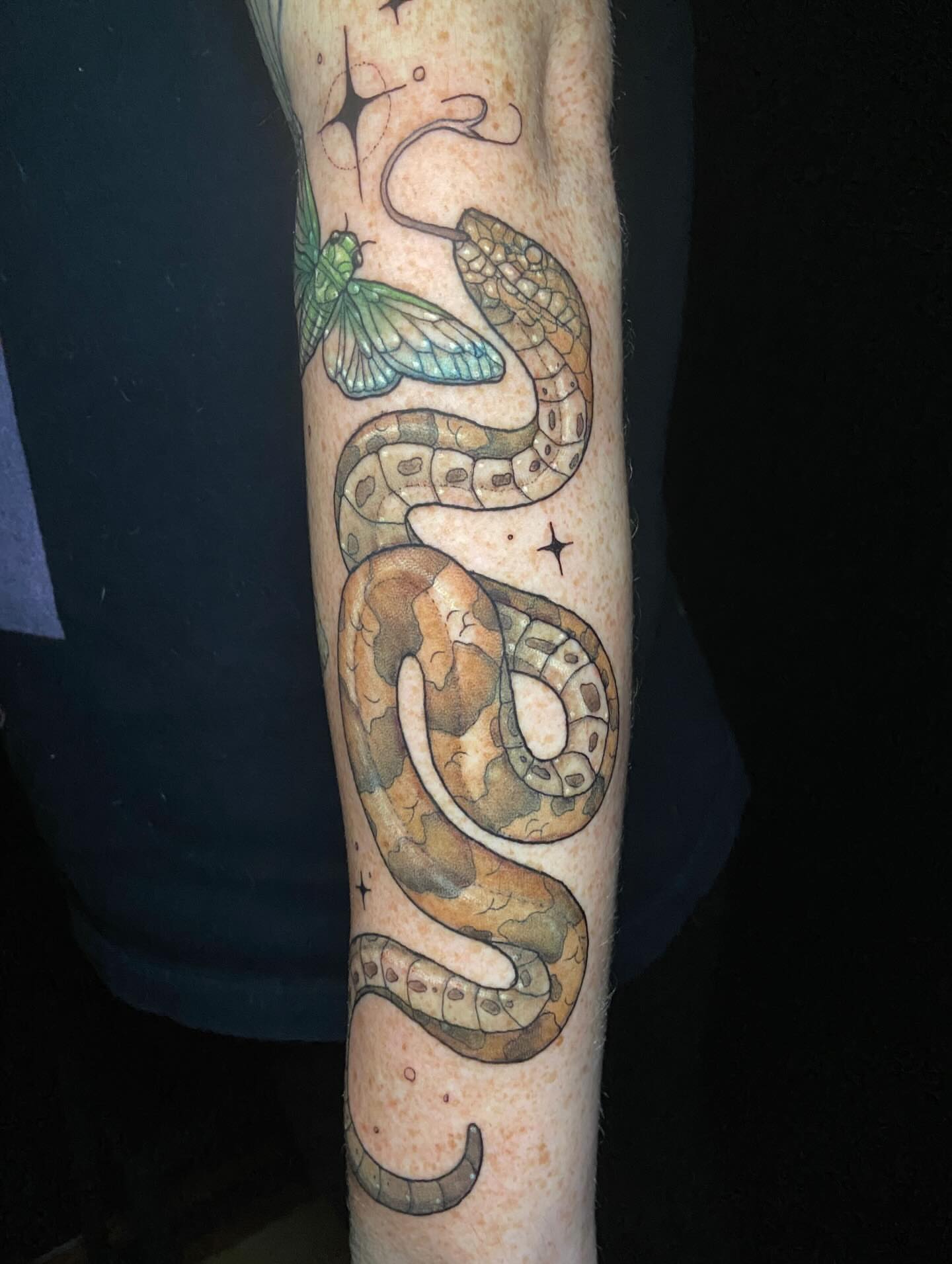 Snake realism tattoo on the forearm by Dawn Carr, Richmond, Virginia