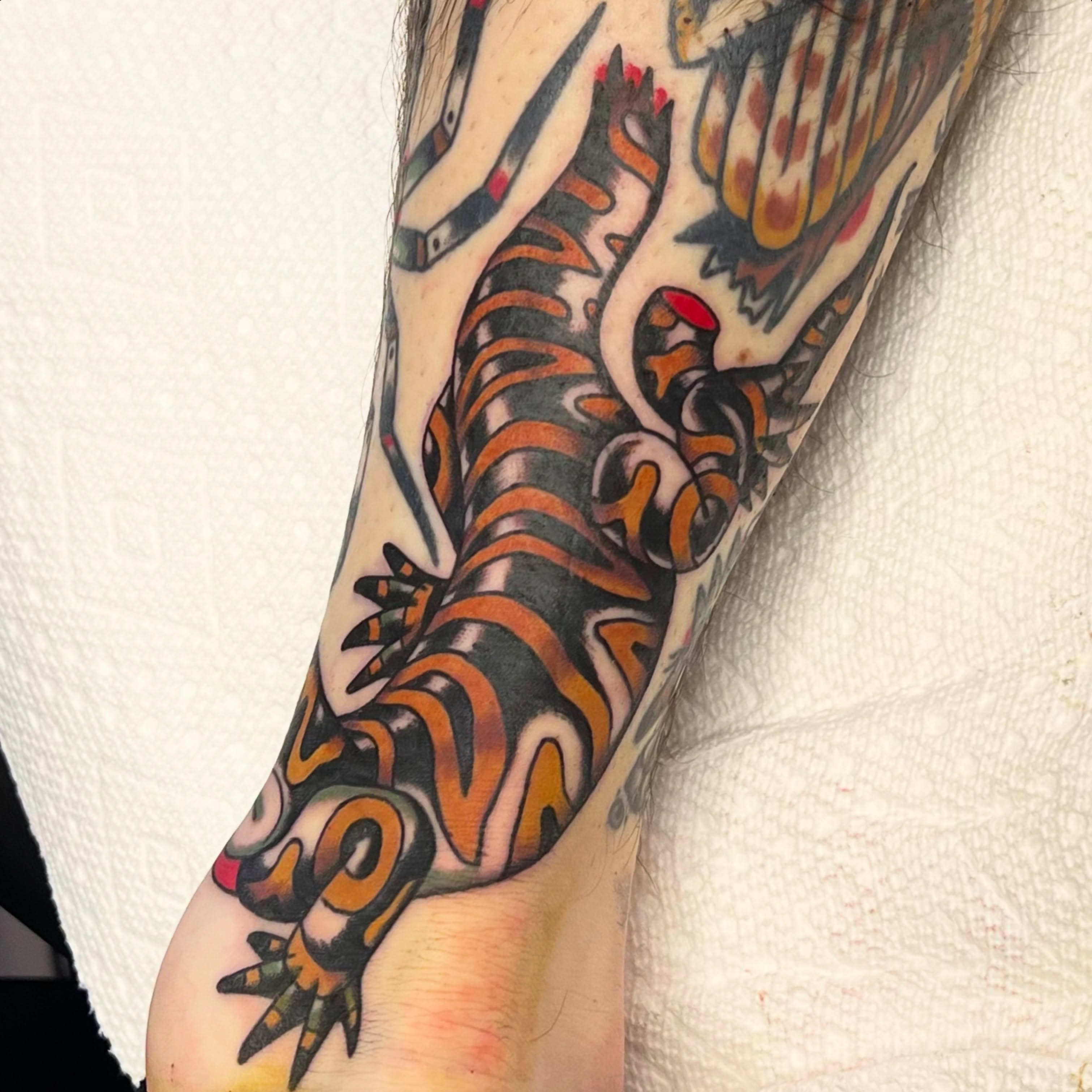 Tiger American traditional tattoo on the forearm by @brandonhuckabey, Denver, Colorado