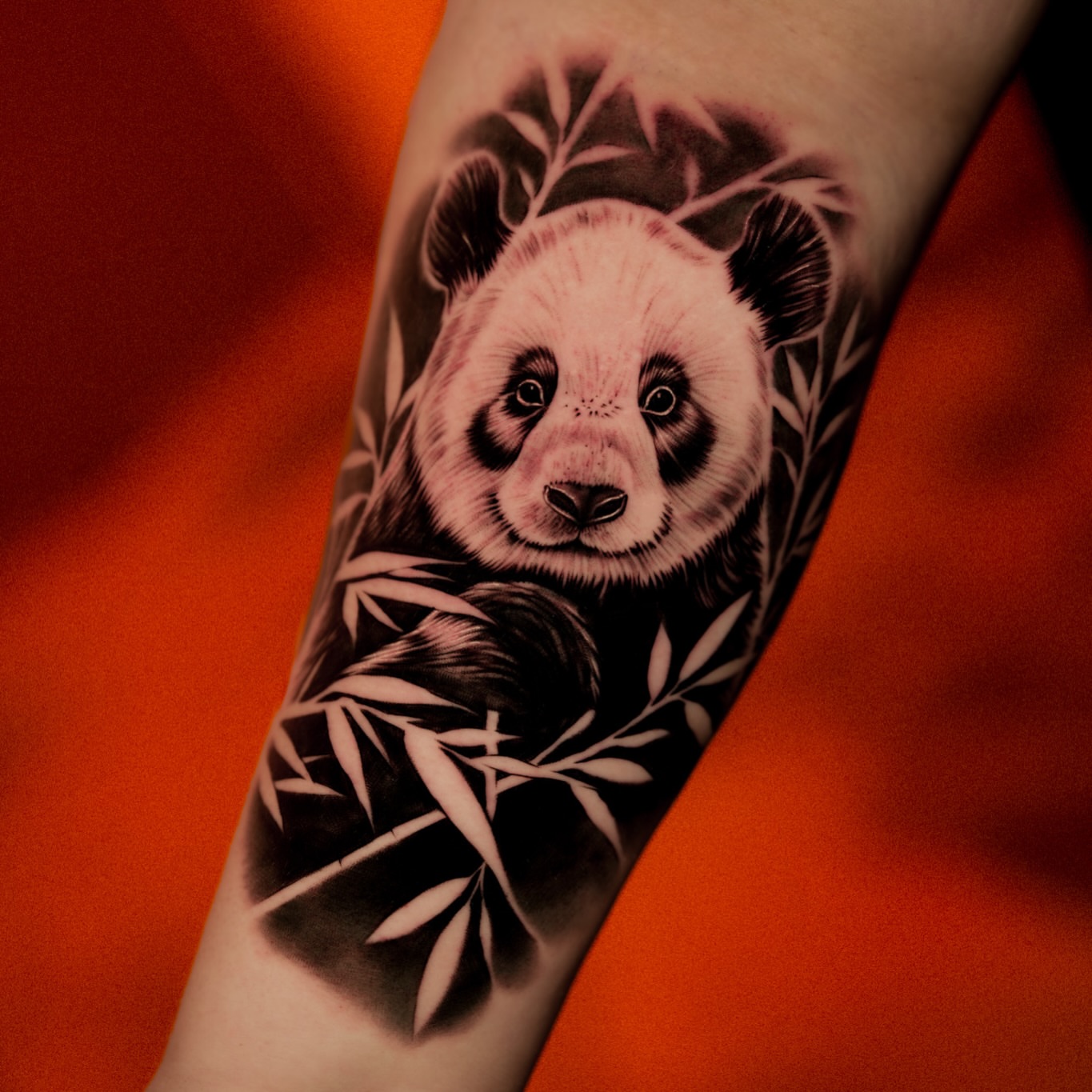 Panda realism tattoo on the forearm by Andy Garcia