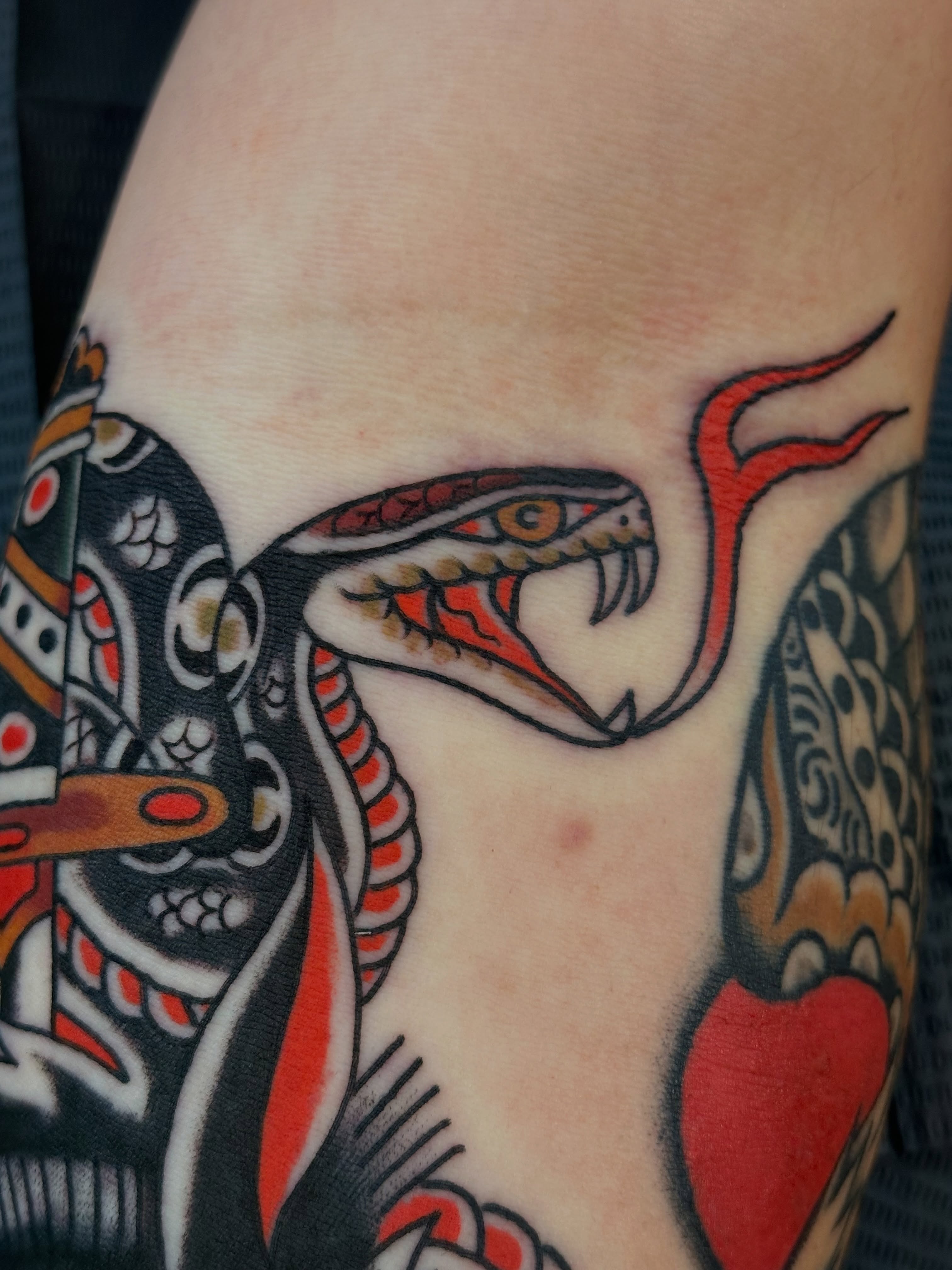 Snake American traditional tattoo on the forearm by A.j. Lingerfeldt, Nashville, Tennessee
