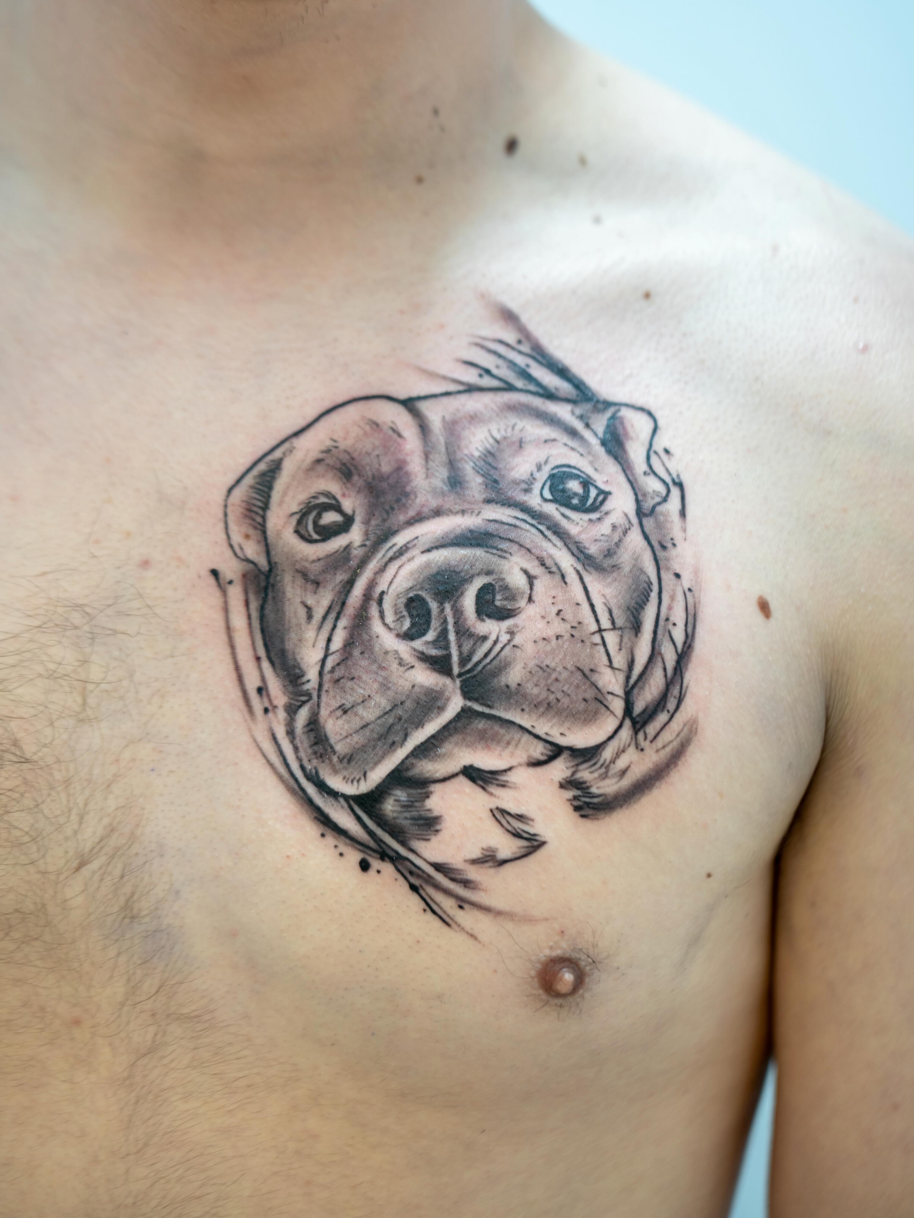 Bulldog realism tattoo on the chest by Skylar