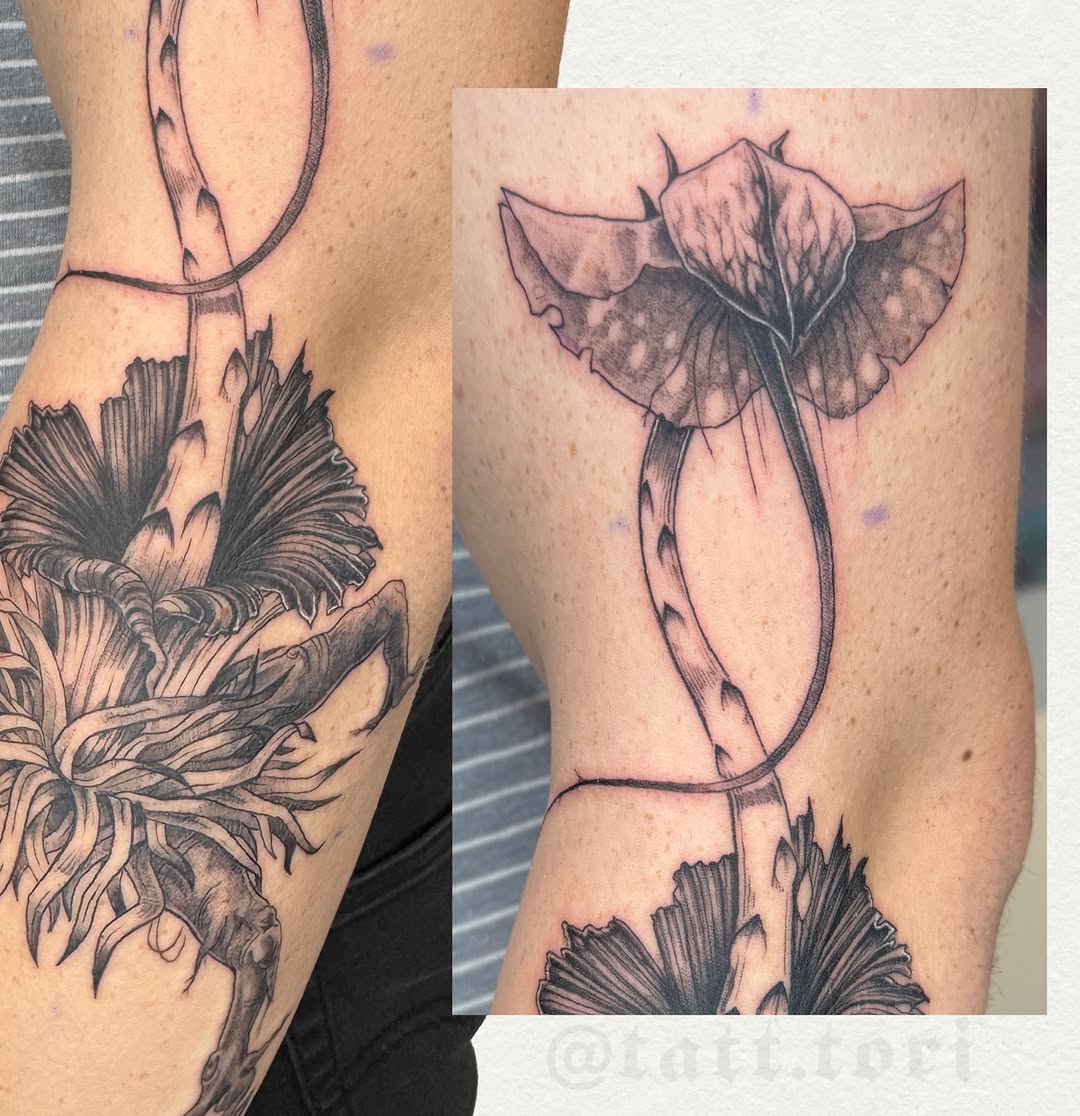 Abstract mushroom-like plant sketch tattoo on the forearm by 𝔱𝔬𝔯𝔦