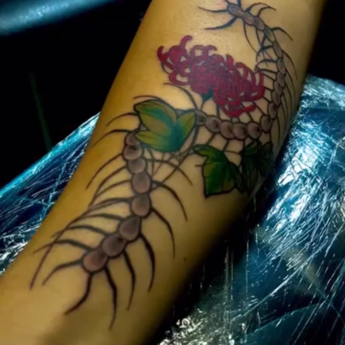 Tattoo by @penn.ink.ton — american_traditional, dotwork