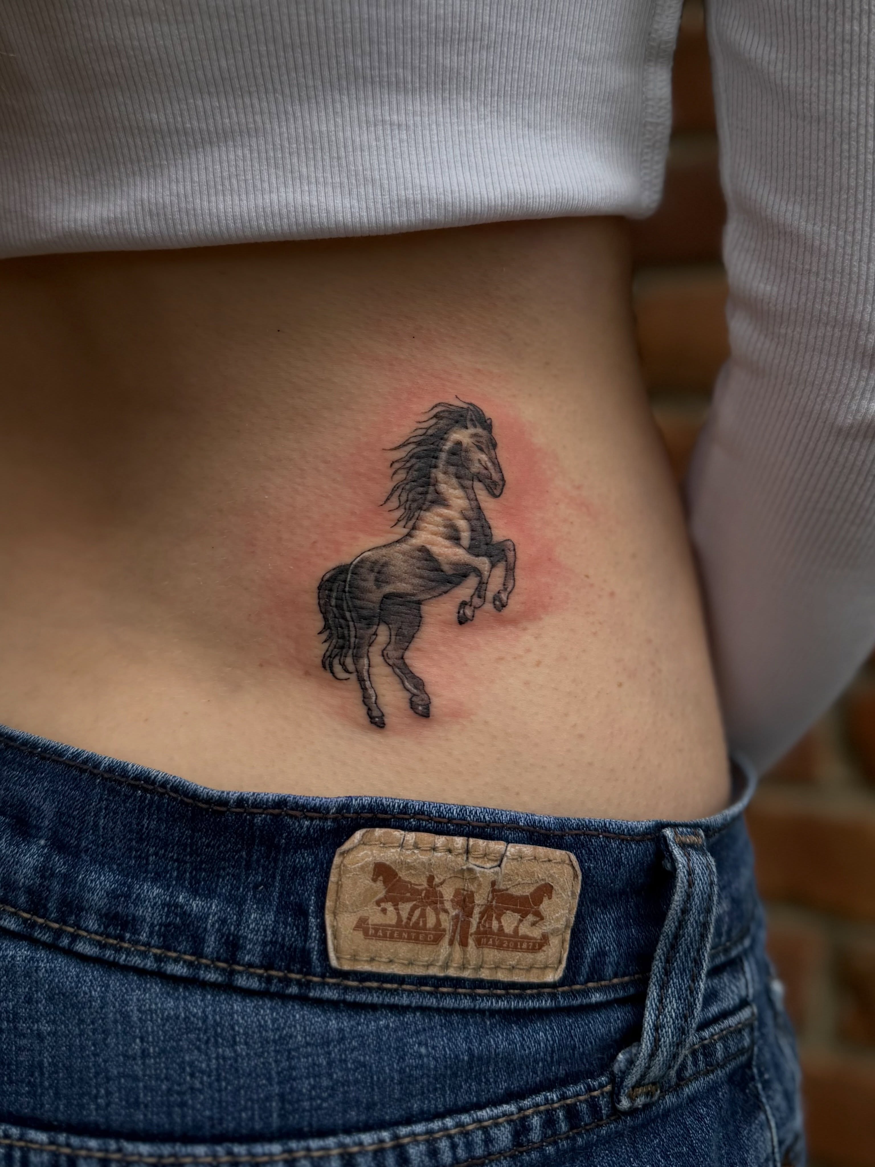 Horse realism tattoo on the torso by Nicole Libretti ✶ Tattoo ✶ Hvny