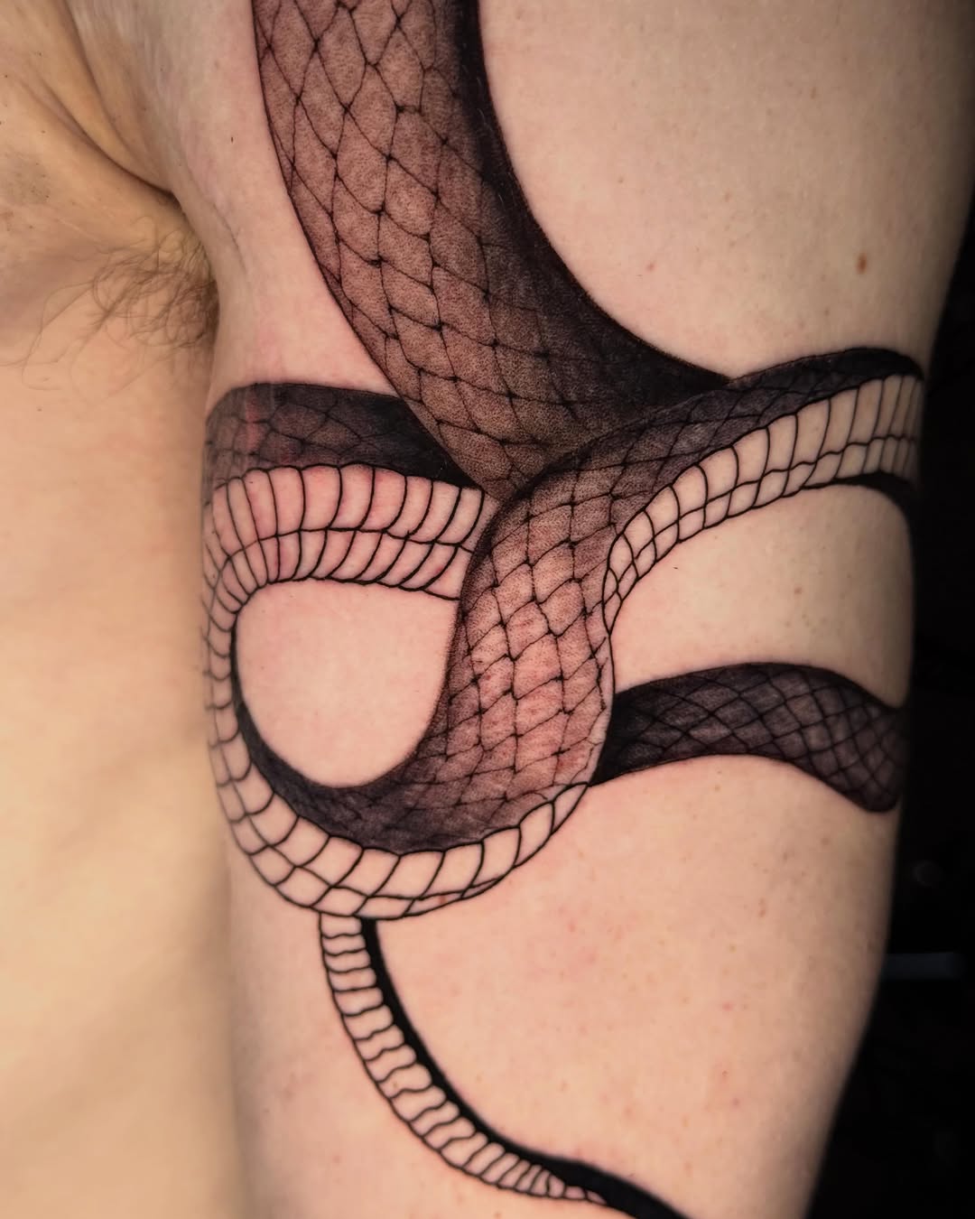 Snake American traditional tattoo on the upper arm by Santiago M