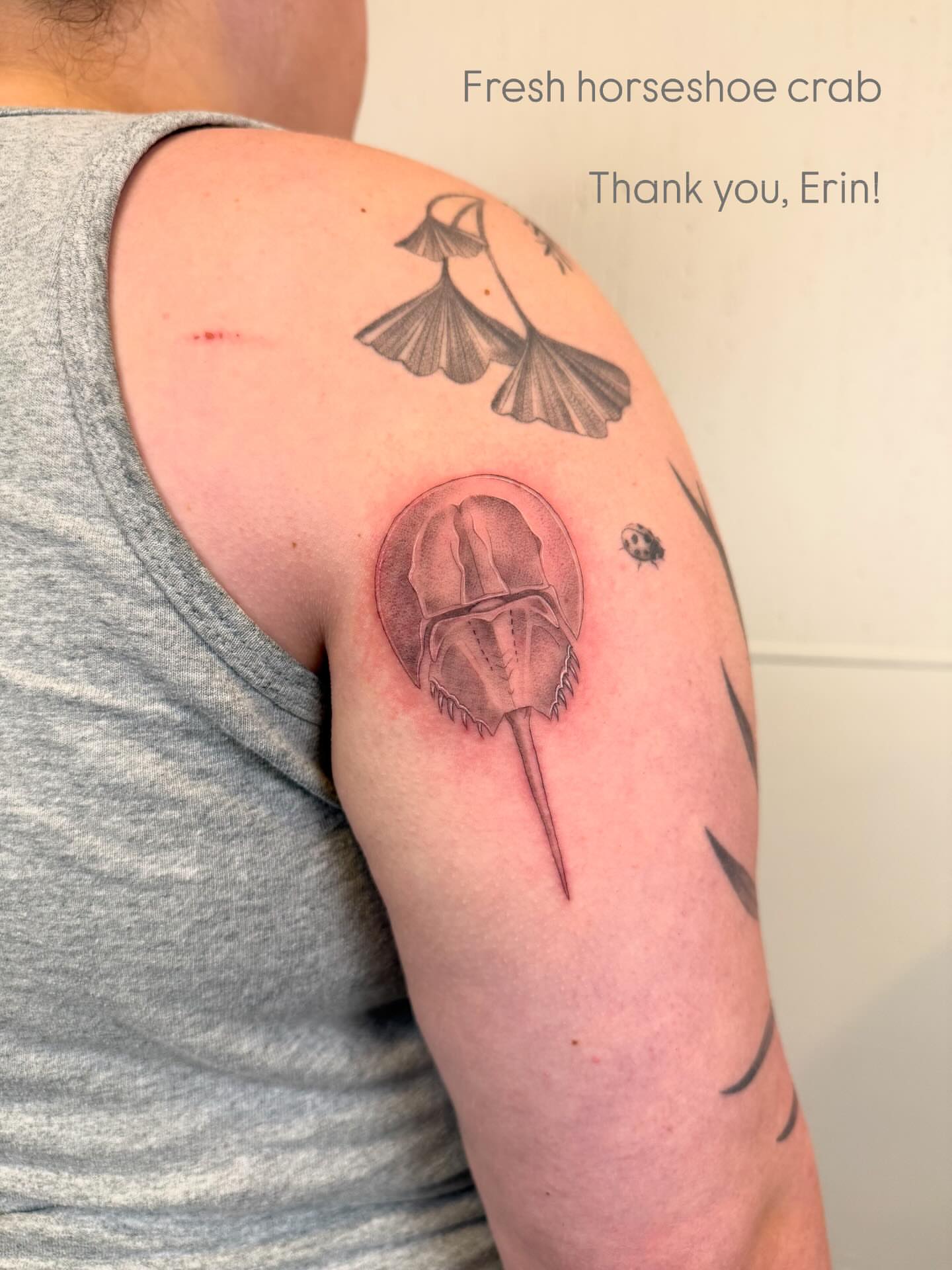 Horseshoe crab realism tattoo on the shoulder by Justin Turkus