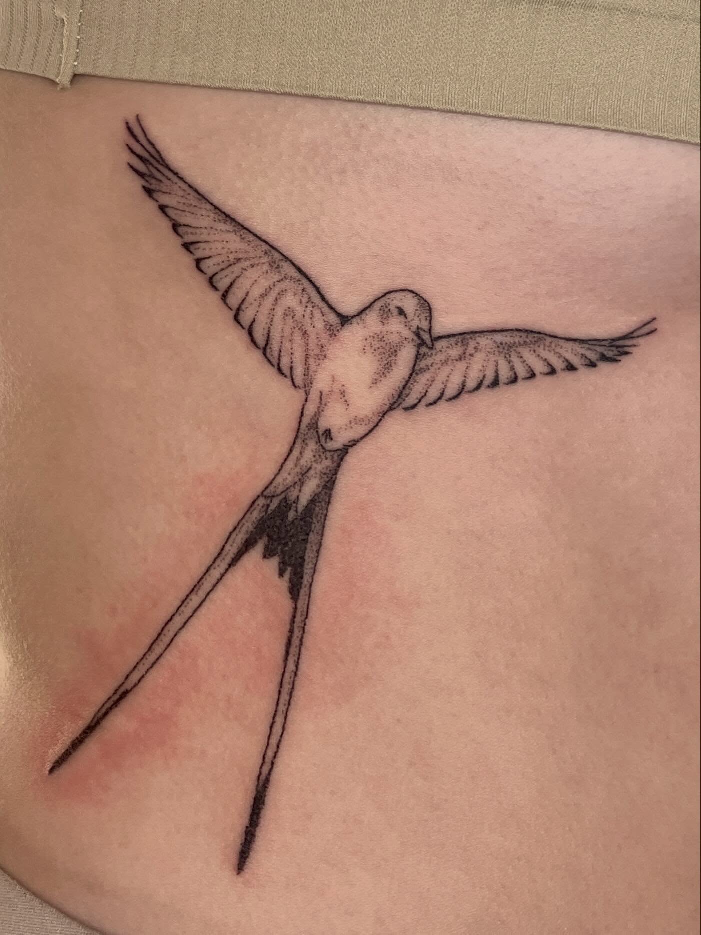 Bird dotwork tattoo on the ribs by faith