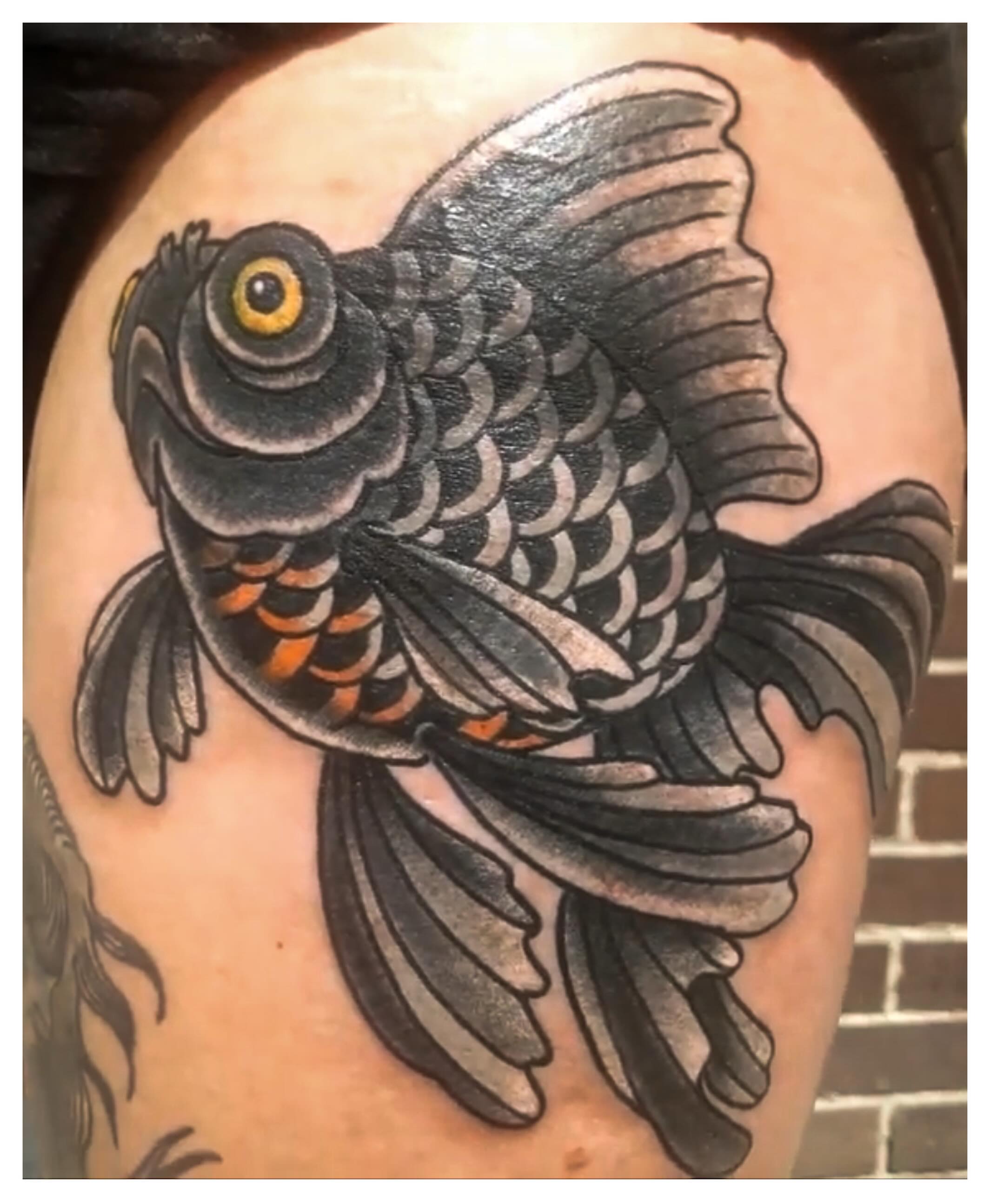 Goldfish American traditional tattoo on the shoulder by joe martinez, Denver, Colorado