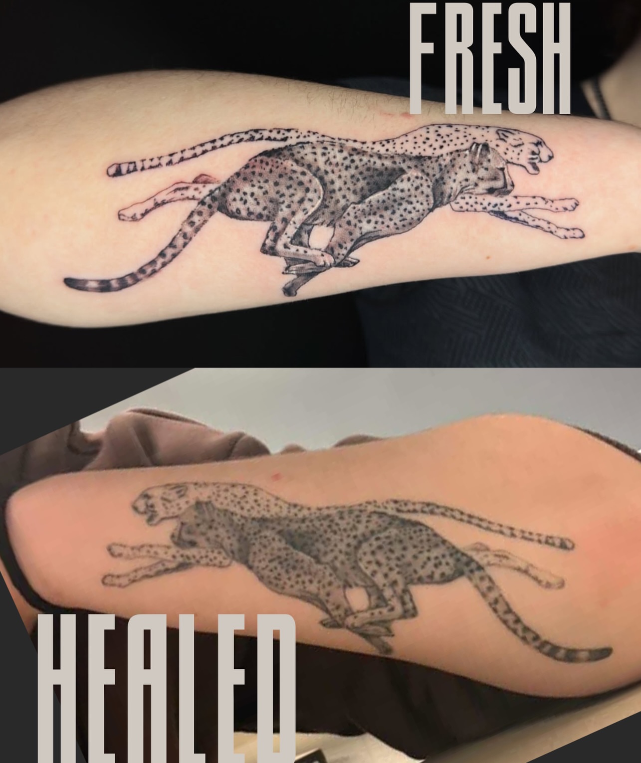 Tattoo by @dy3tatts โ black_and_grey