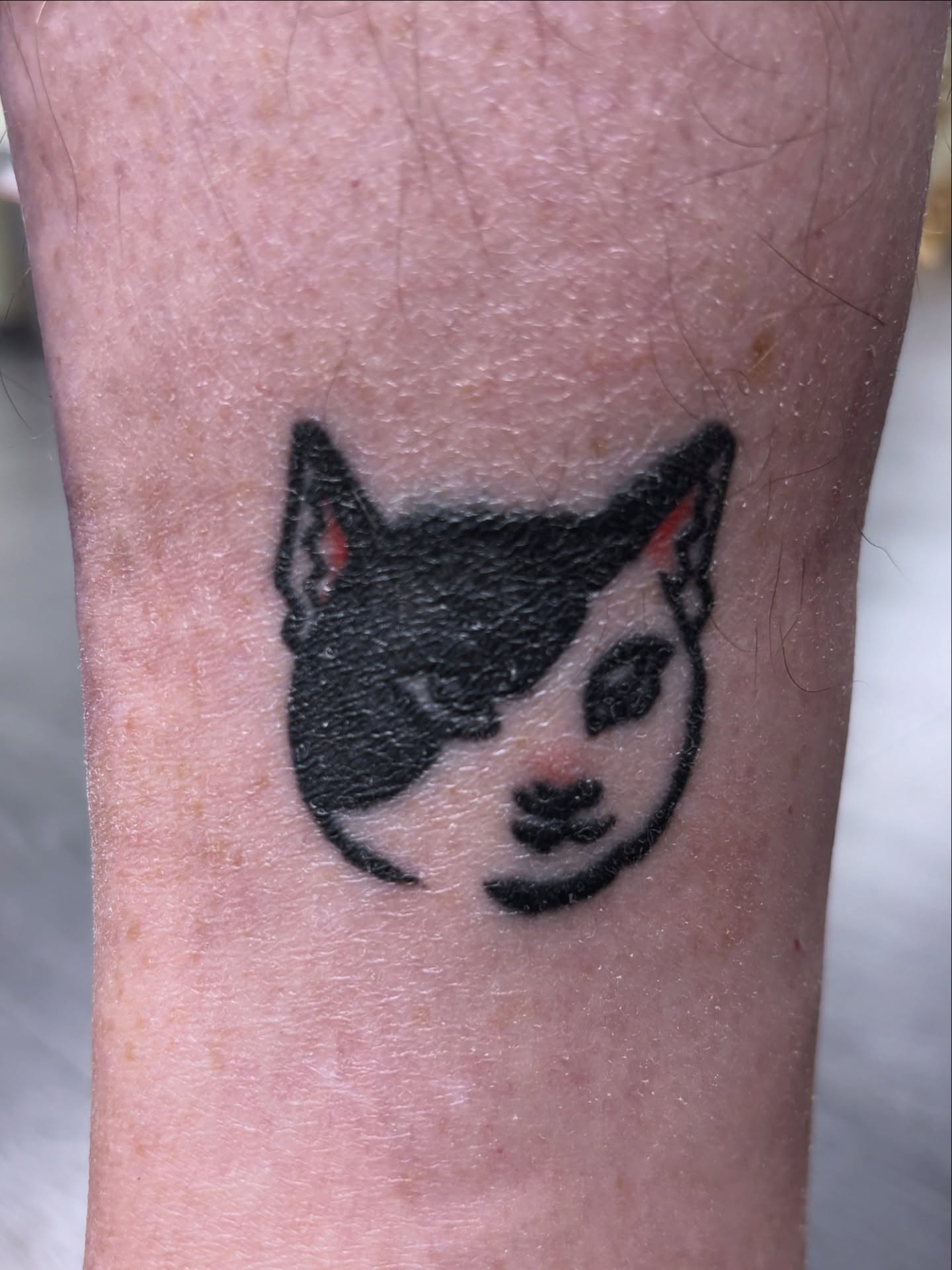 Cat face black and grey tattoo on the forearm by Gabe Rosen