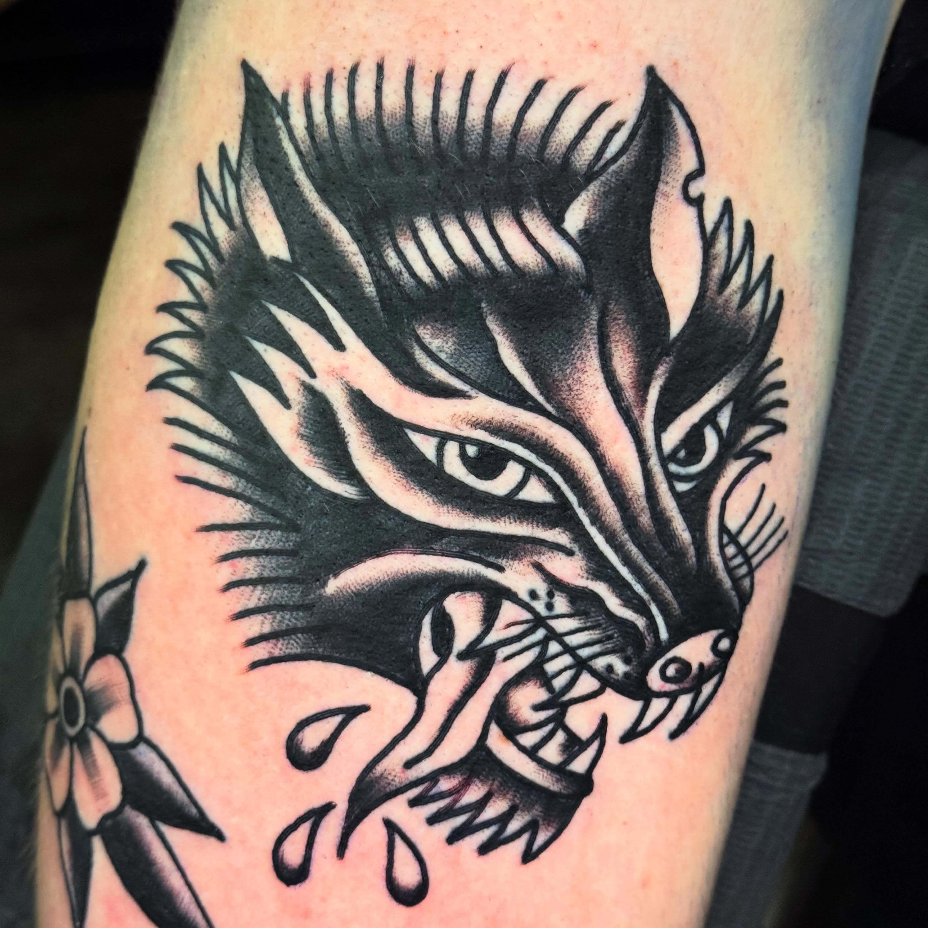 Wolf American traditional tattoo on the forearm by Jack Hatchet Tattoos