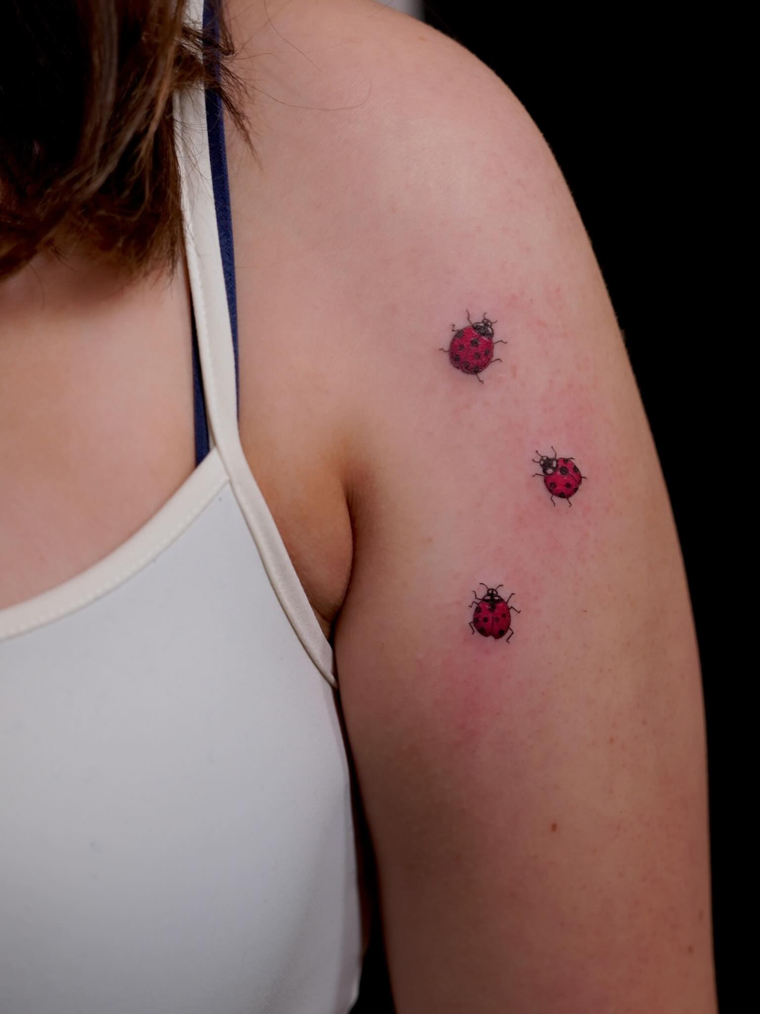 Ladybugs ignorant tattoo on the shoulder by Julia
