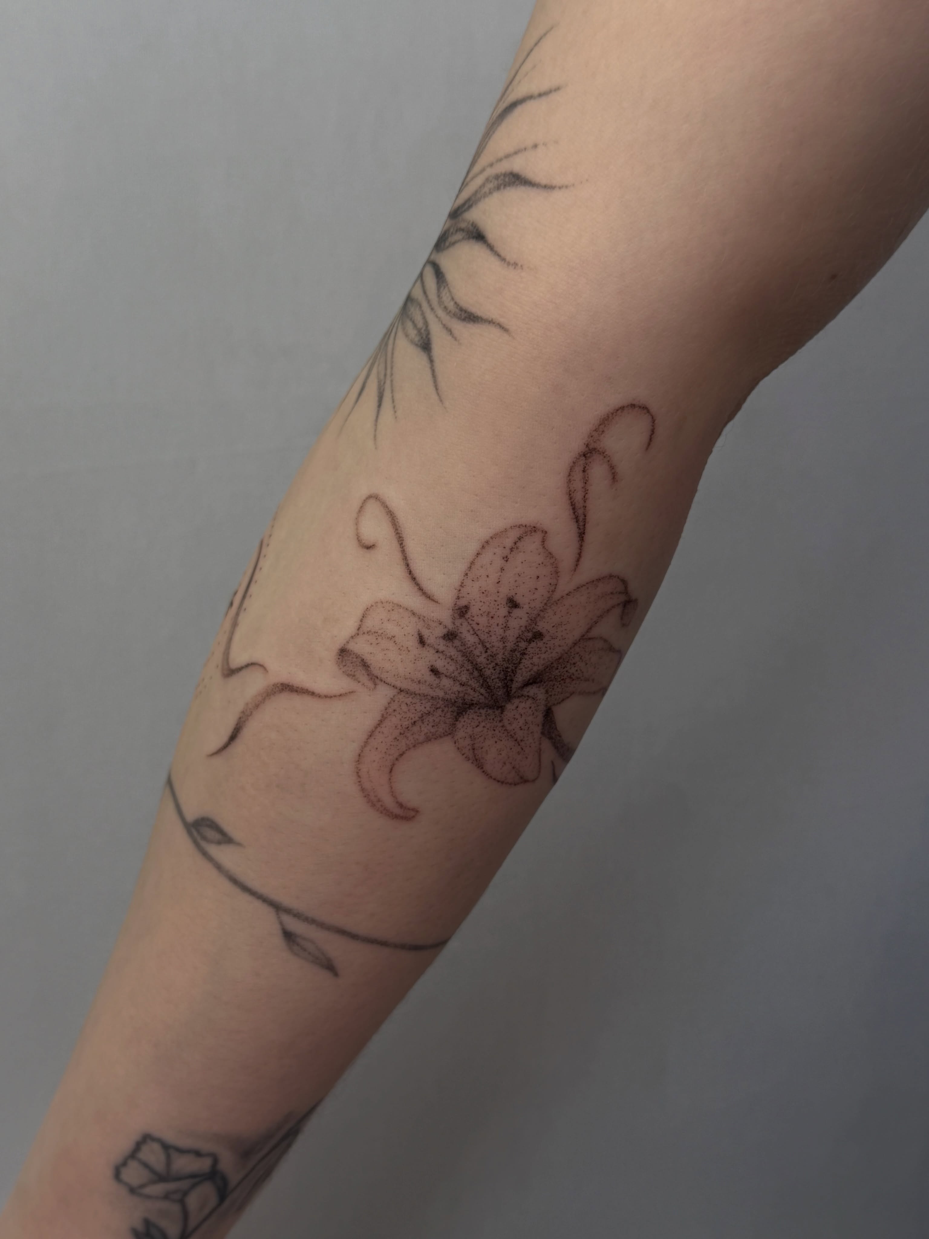 Lily dotwork tattoo on the forearm by Henesee Parfitt