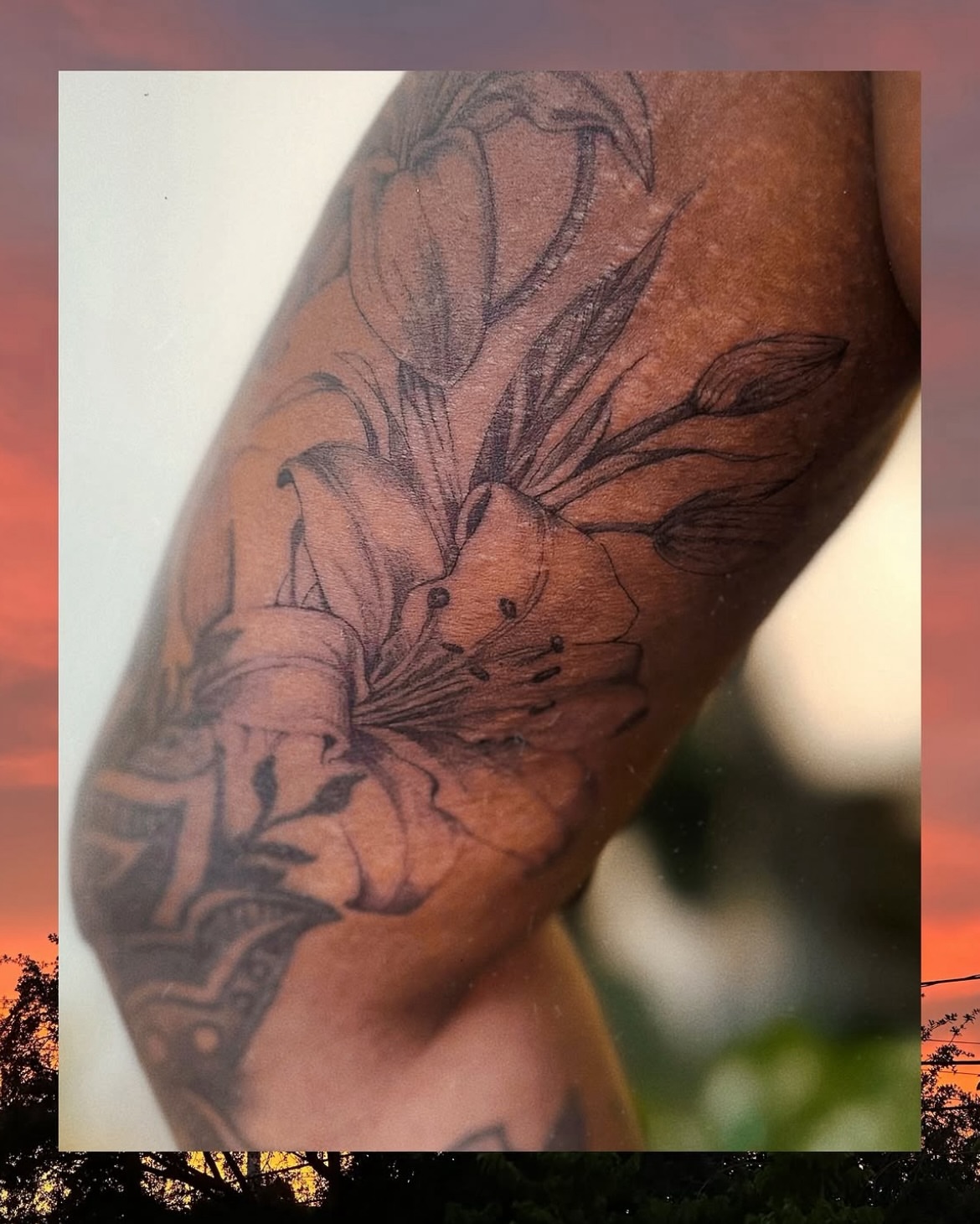 Lily black and grey tattoo on the forearm by 𝗠𝗶𝗱𝗻𝗶𝗴𝗵𝘁 〰️ 𝕄𝕠𝕠𝕟𝕝𝕚𝕘𝕙𝕥