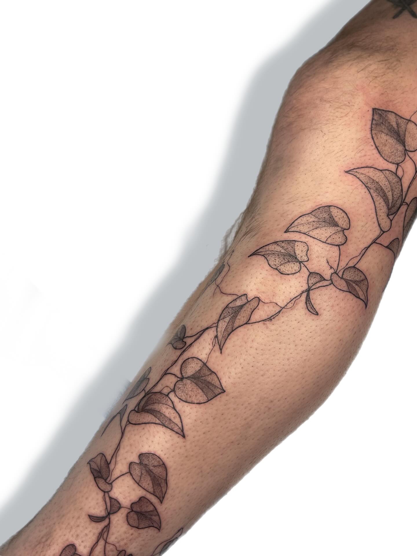 Vine black and grey tattoo on the forearm by Jules ๐โโฌ, Chicago, Illinois