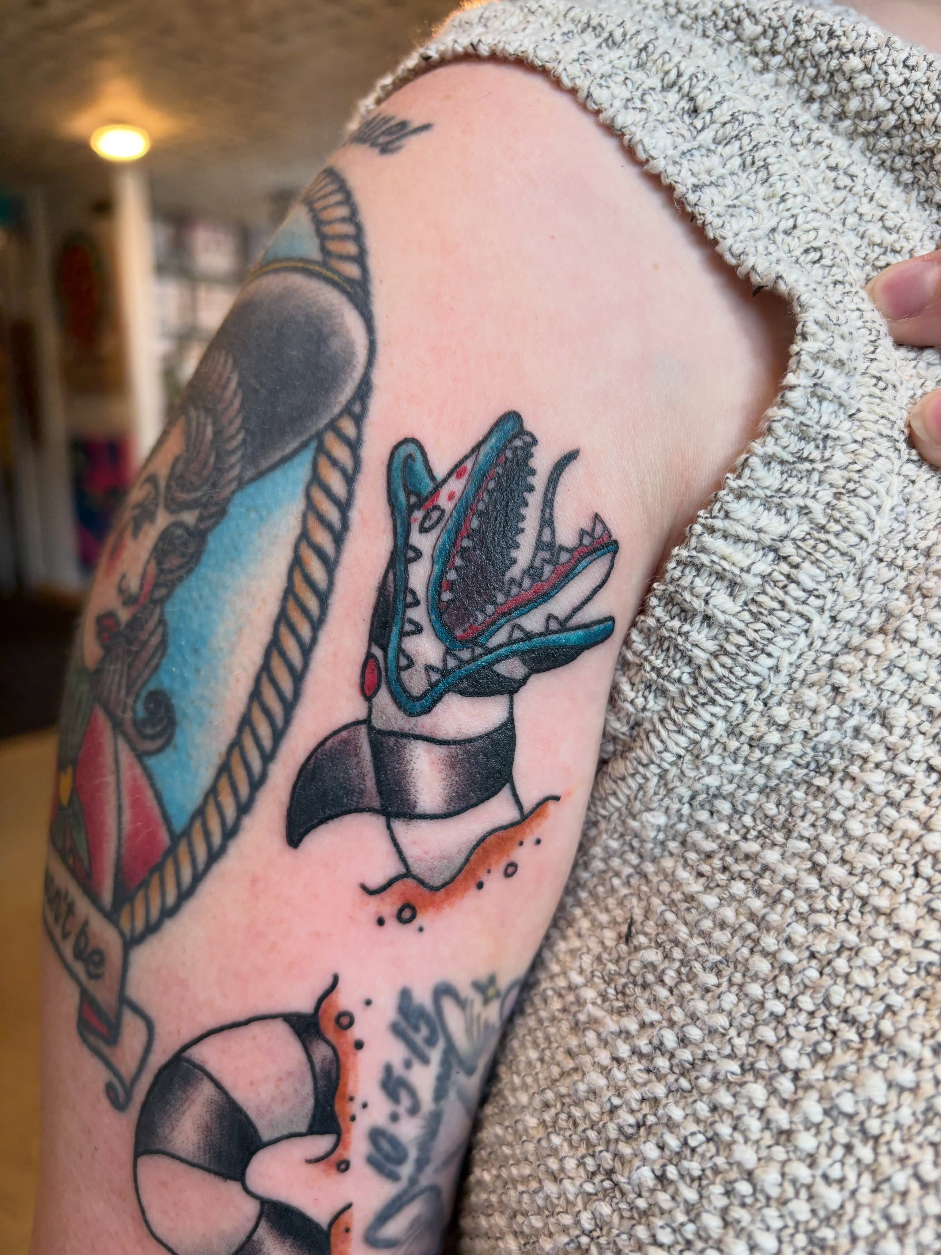 Shark American traditional tattoo on the forearm by Kimber Teatro, Portland, Oregon
