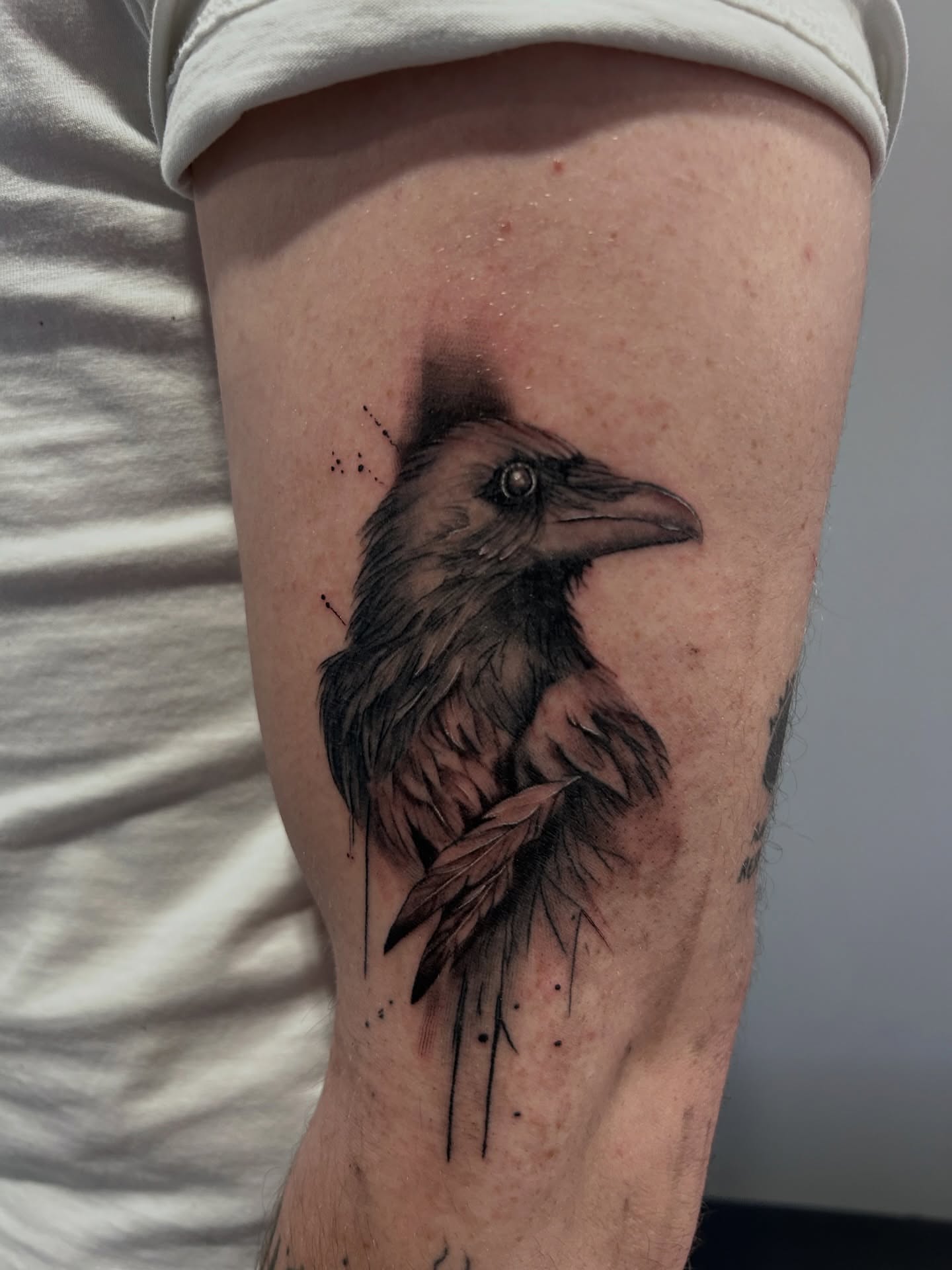Crow realism tattoo on the forearm by Oto_art