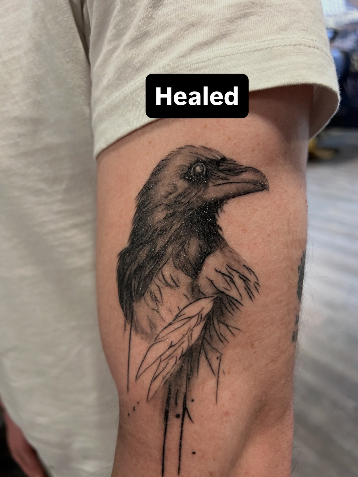 Crow black and grey tattoo on the forearm by Oto_art