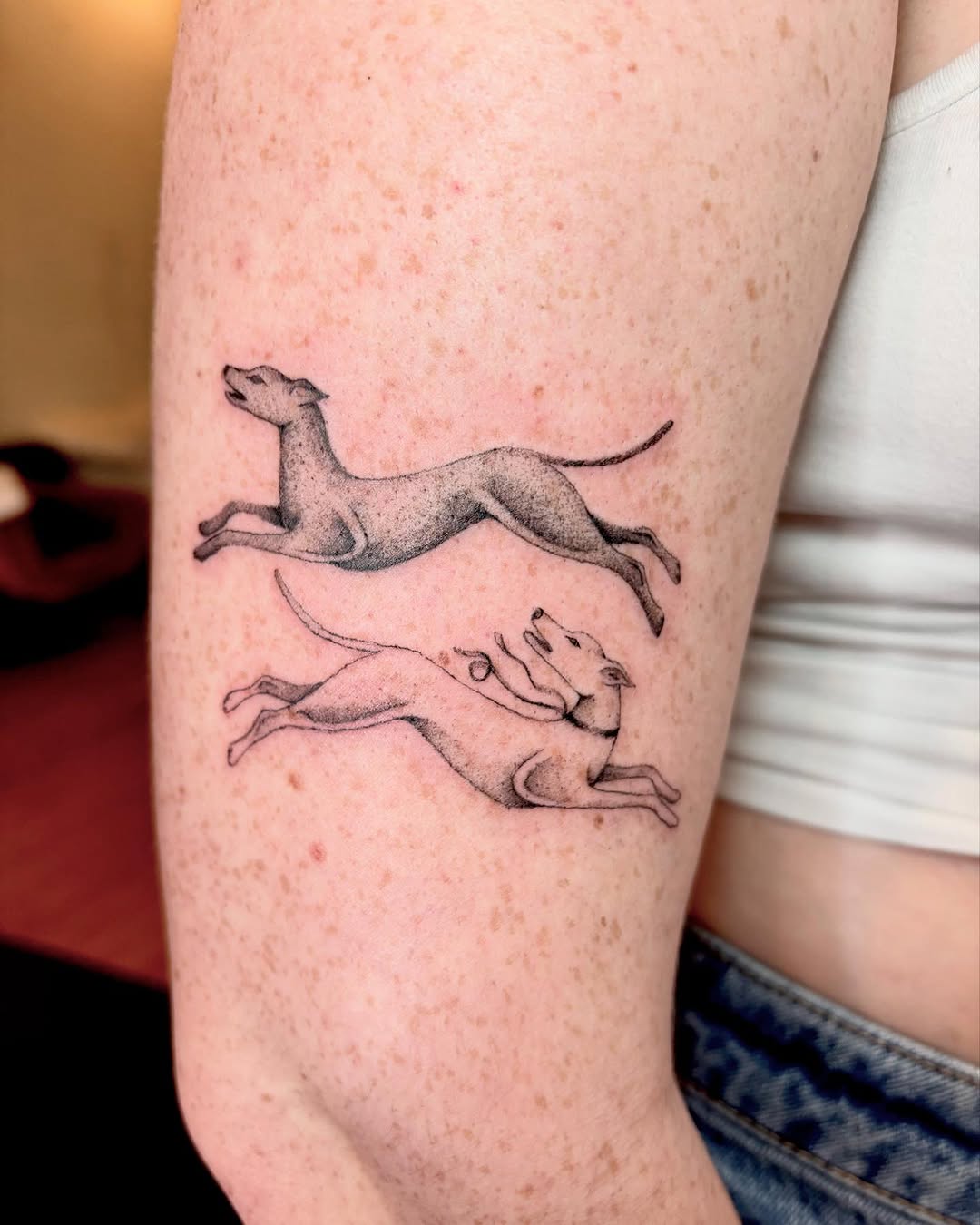 Two running greyhounds fine line tattoo on the forearm by madison, Cincinnati