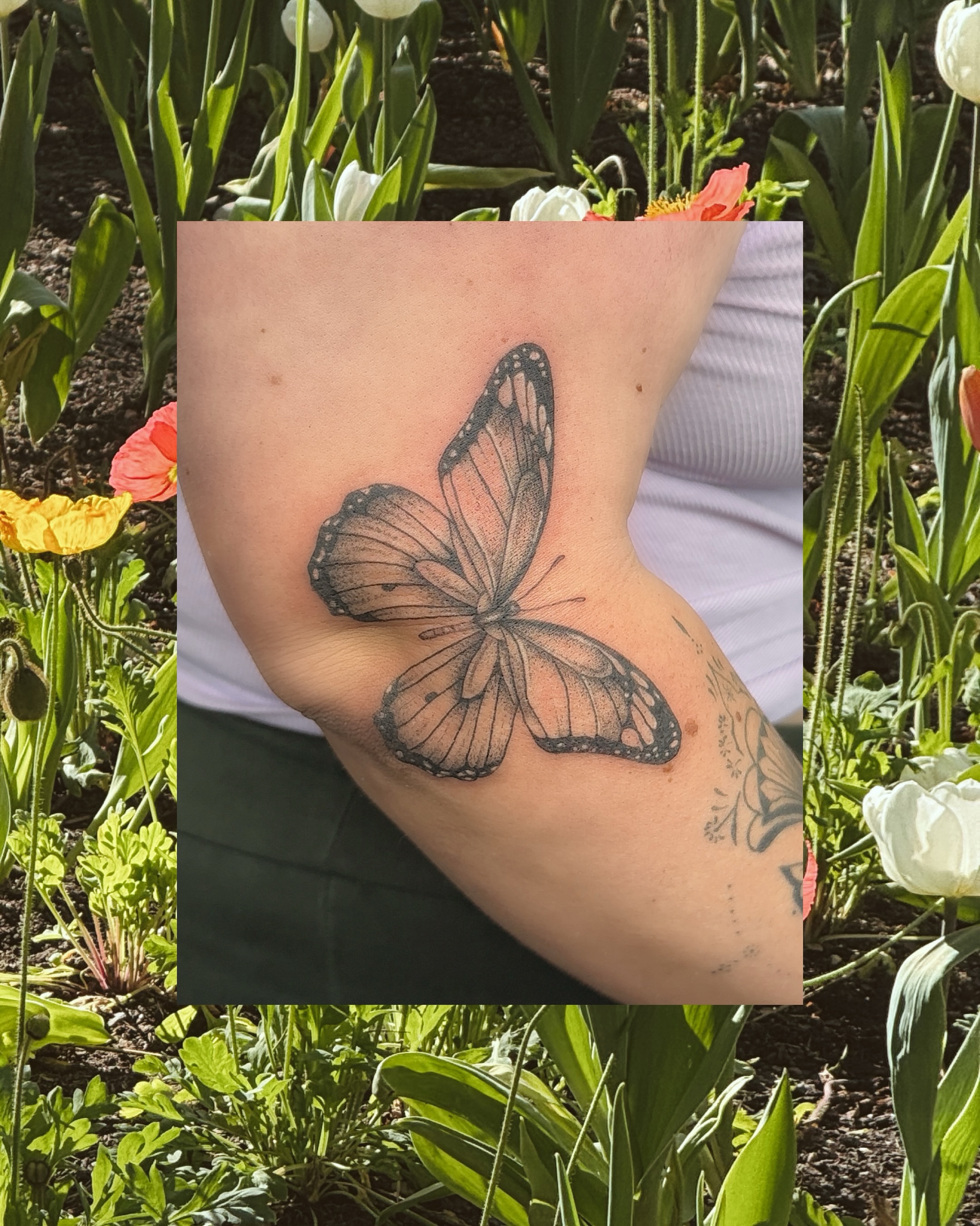 Butterfly realism tattoo on the forearm by ❤️‍🔥 Abigail Chambers ❤️‍🔥