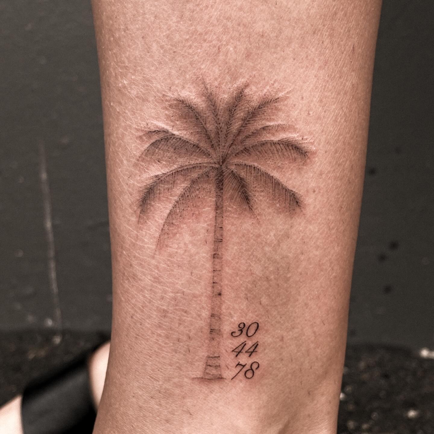 Palm tree black and grey tattoo on the forearm by ๐๐, Tacoma, Washington