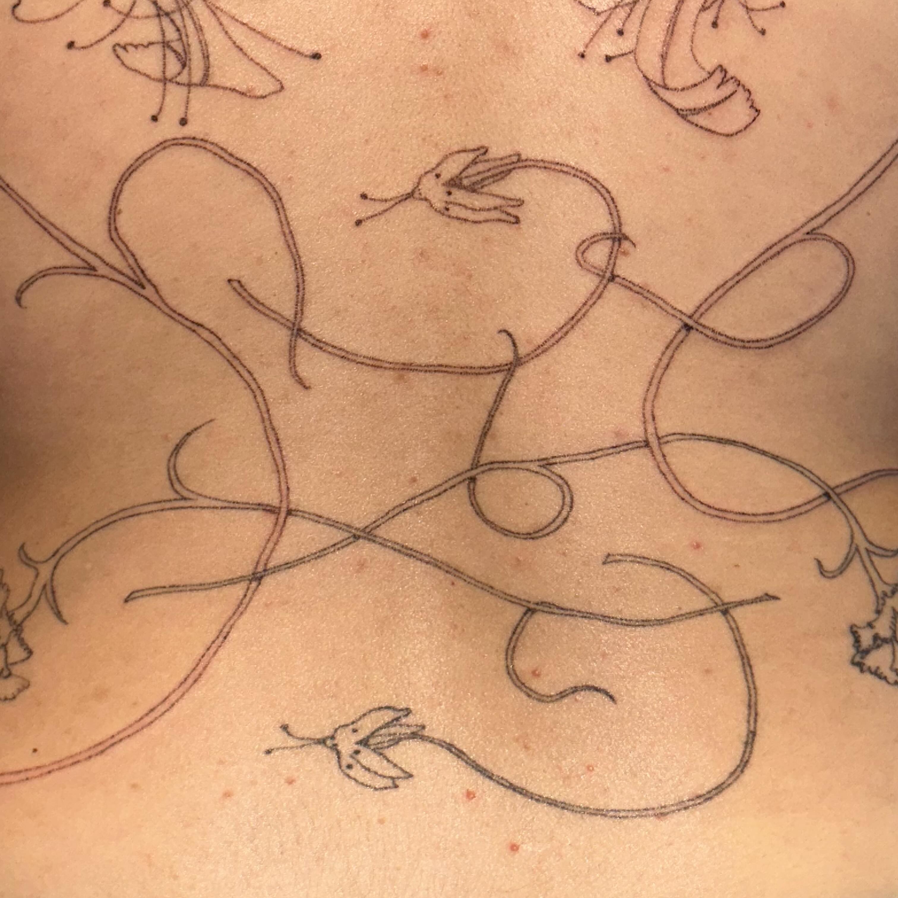 Strings and birds minimalist tattoo on the torso by kate
