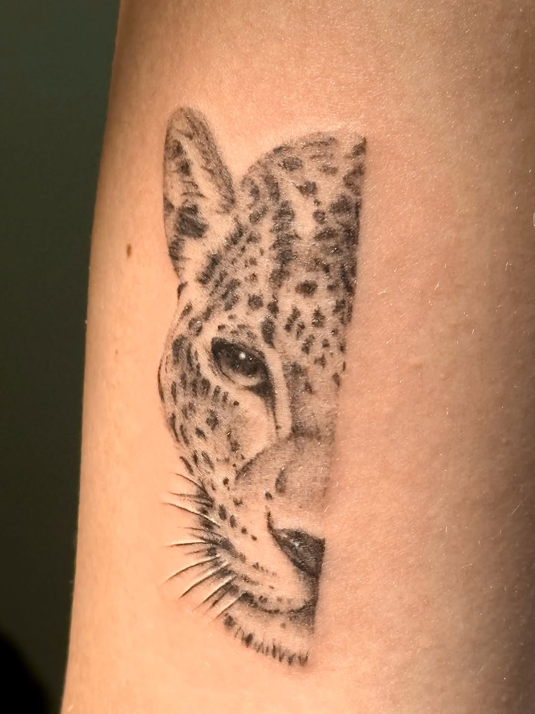 Leopard face realism tattoo on the forearm by †crystal