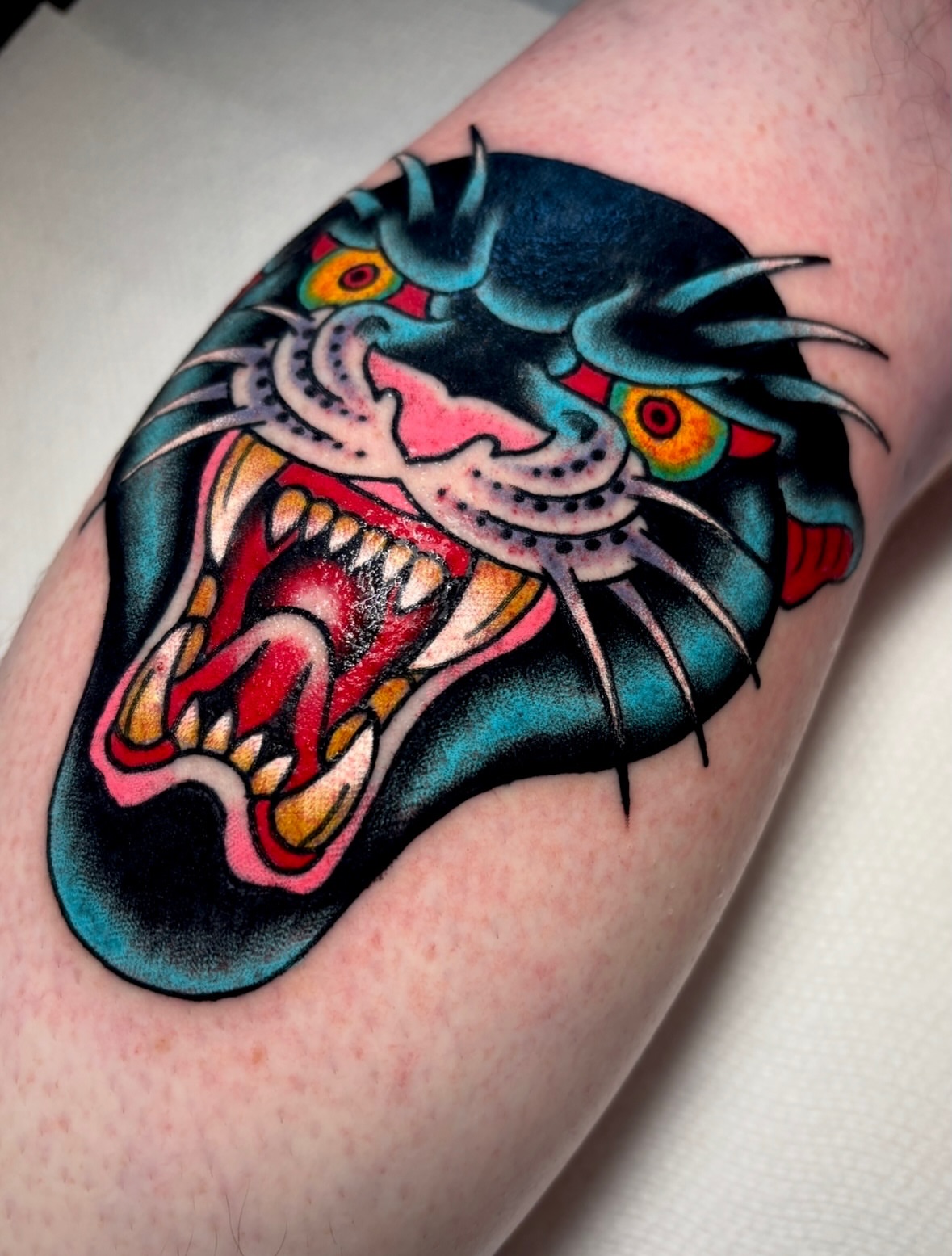 Roaring tiger American traditional tattoo on the forearm by Mickey Putillo, Charlotte, North Carolina