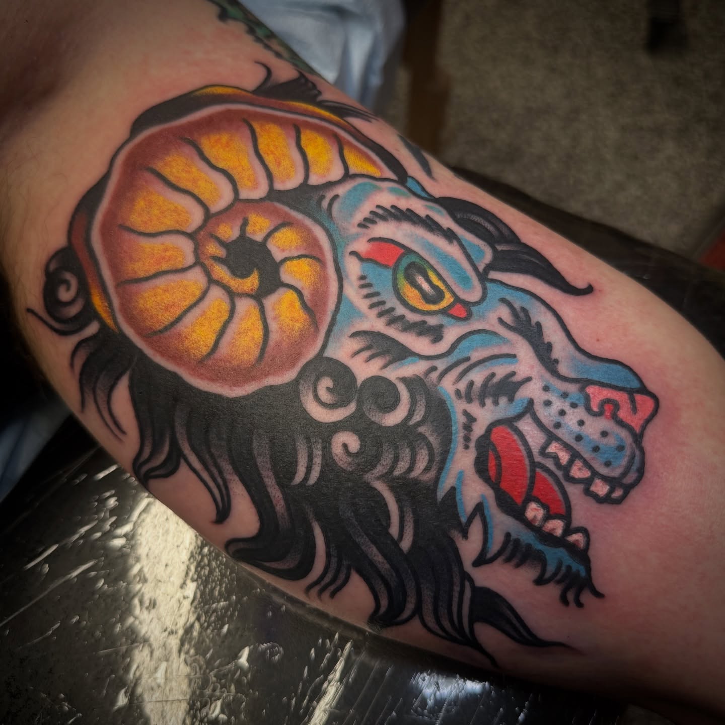 Lion American traditional tattoo on the forearm by Chuck Paprocki, Nashville, Tennessee