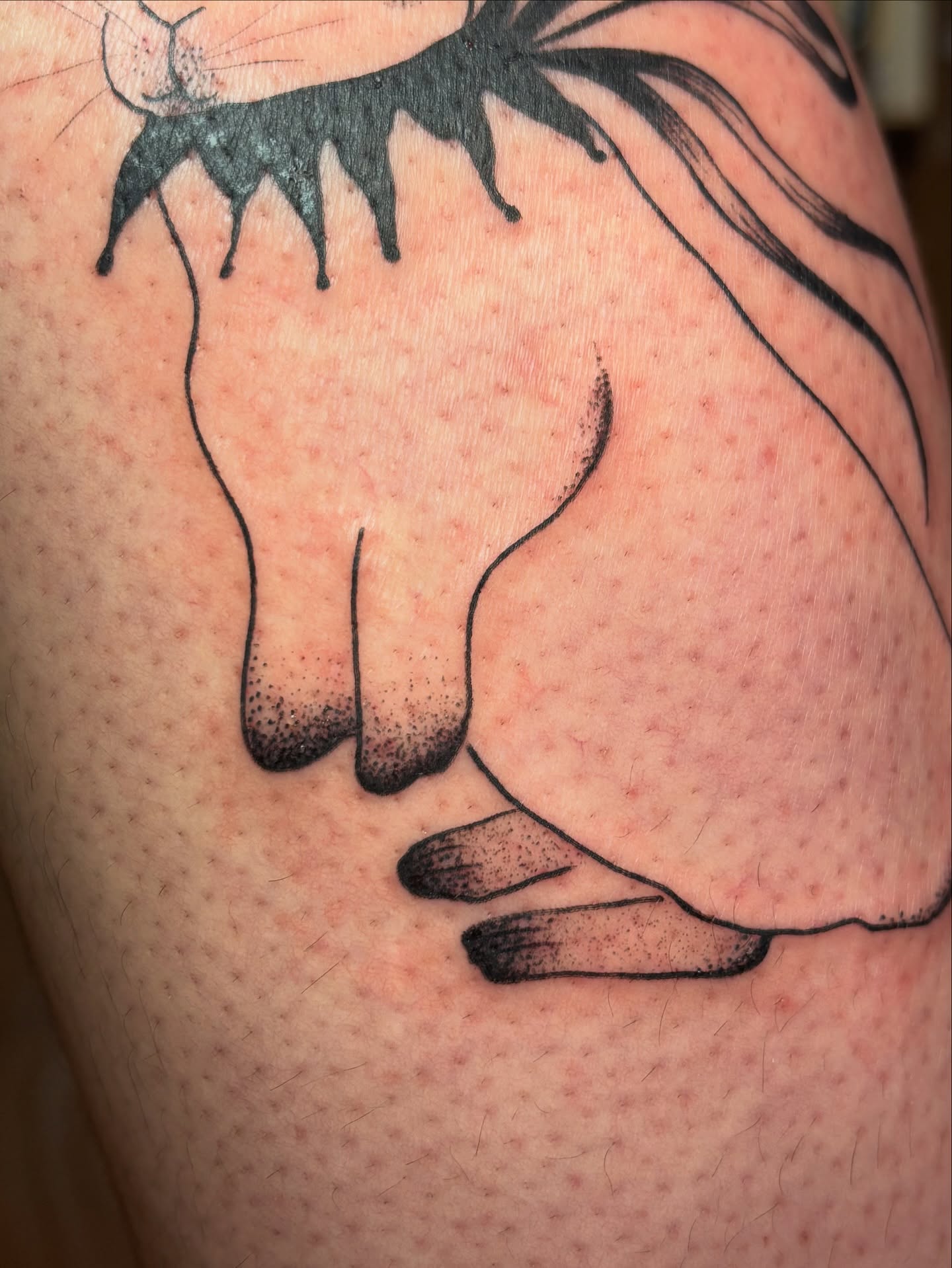 Cat dotwork tattoo on the thigh by carla sofia