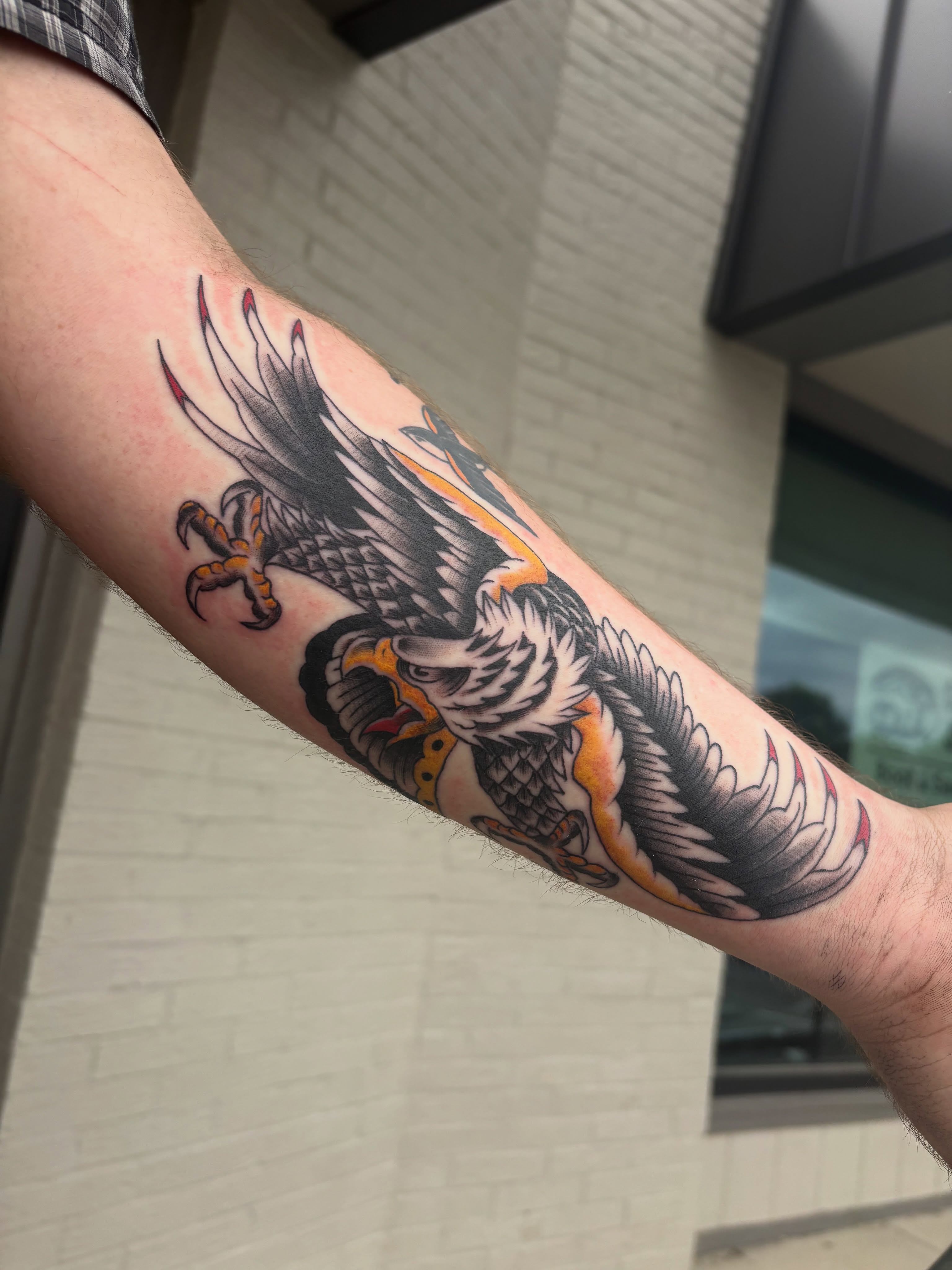 Eagle American traditional tattoo on the forearm by 🔥Zoë Zahasky Tattoos🔥