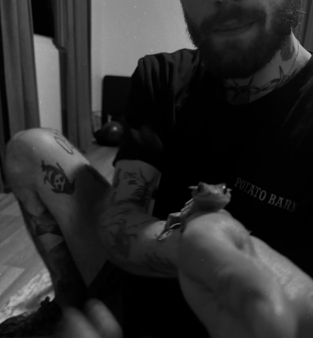 Frog black and grey tattoo on the forearm by sierra 💌⛓️