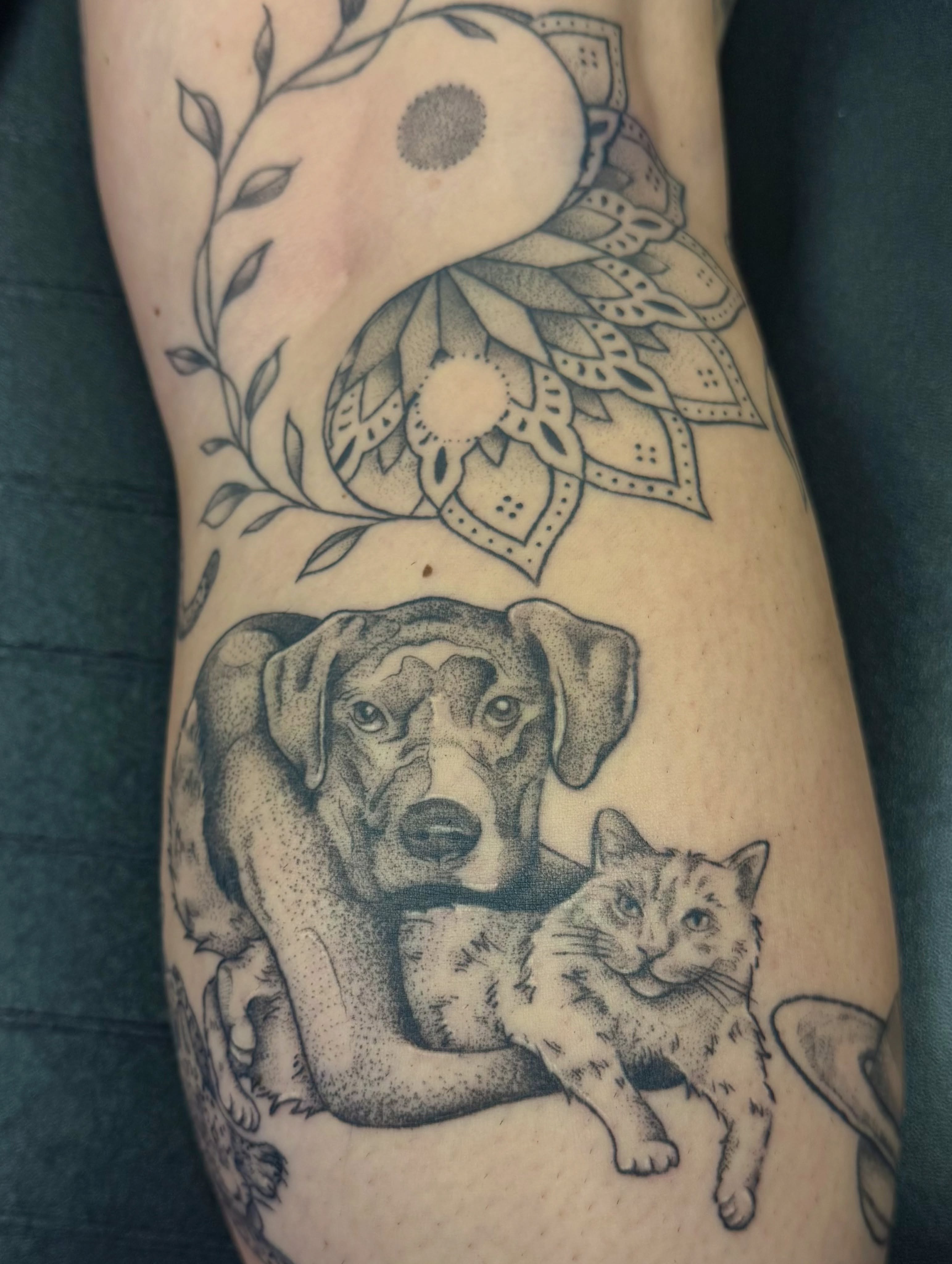 Dog and cat dotwork tattoo on the forearm by Kat Bennett