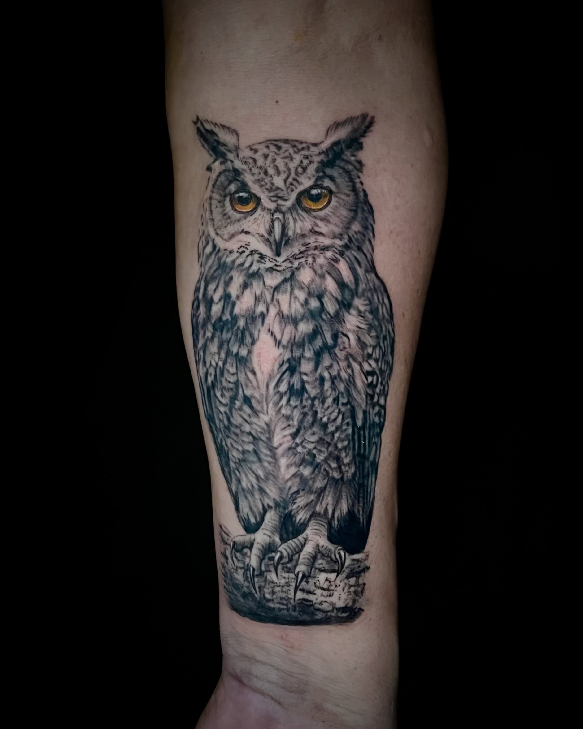 Owl realism tattoo on the forearm by EO, Chicago, Illinois