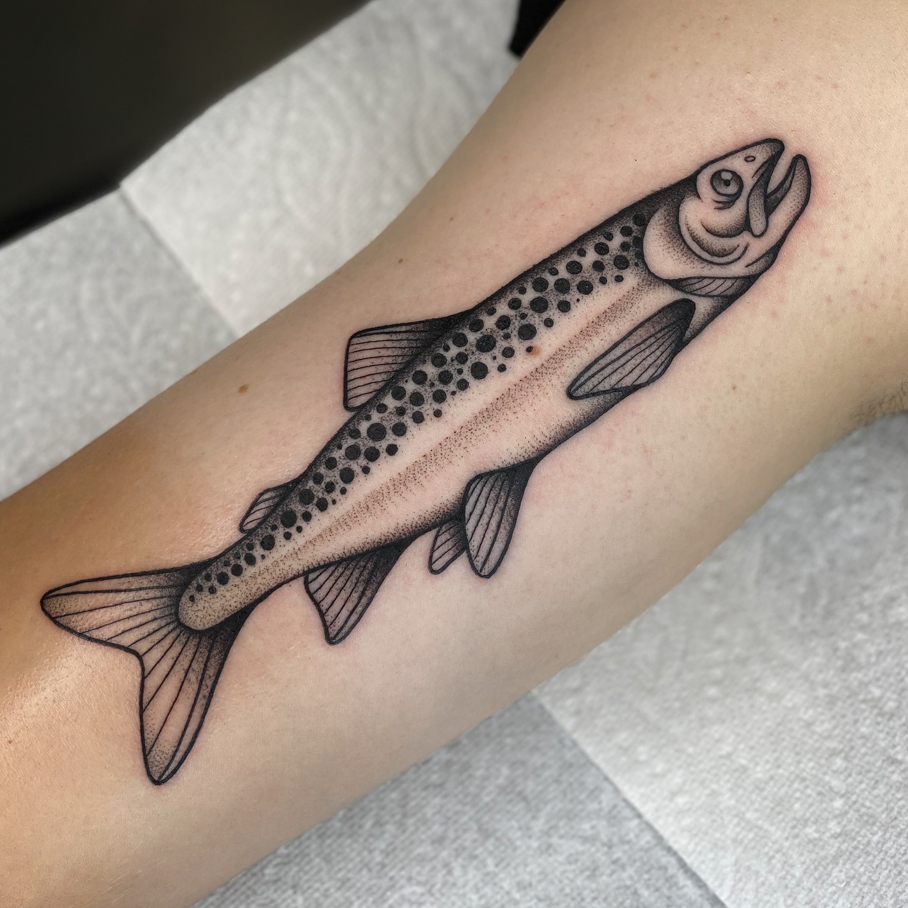 Tattoo by @clem.needlemark — dotwork
